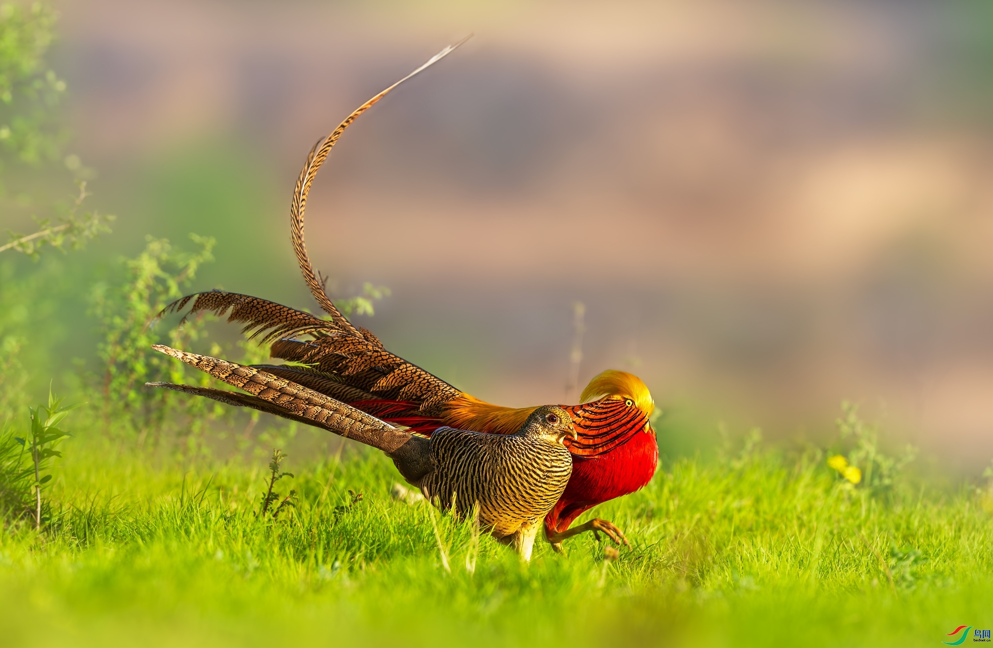 9.4�������� ��ʦ��Ʒ   �� �� ��  �ٻ�2023��9��4��ÿ�ռ�����.jpg