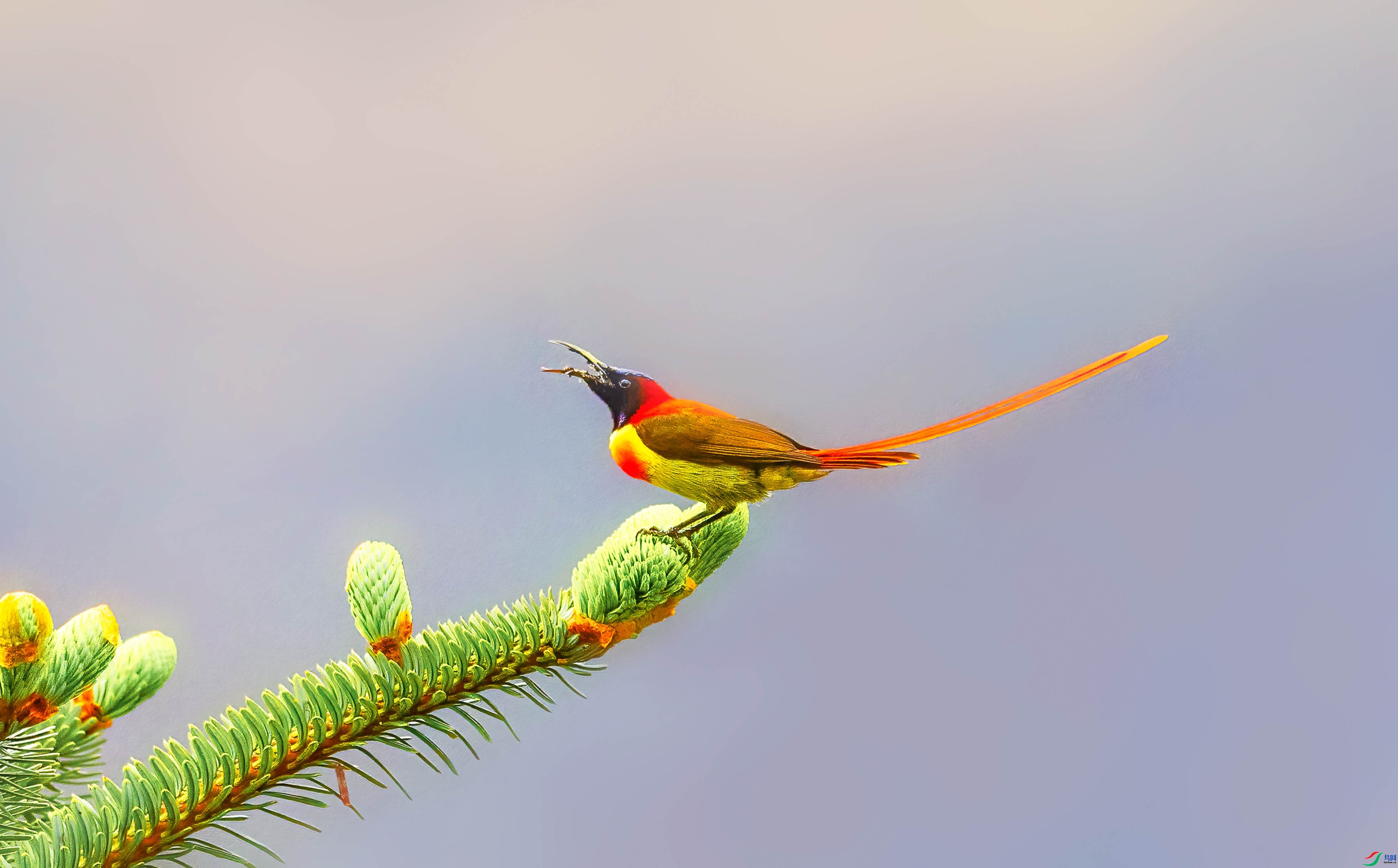 8.30�ܸ���ʦ��Ʒ   ��β̫����  �ٻ�2023��8��30����ҳ������.jpg