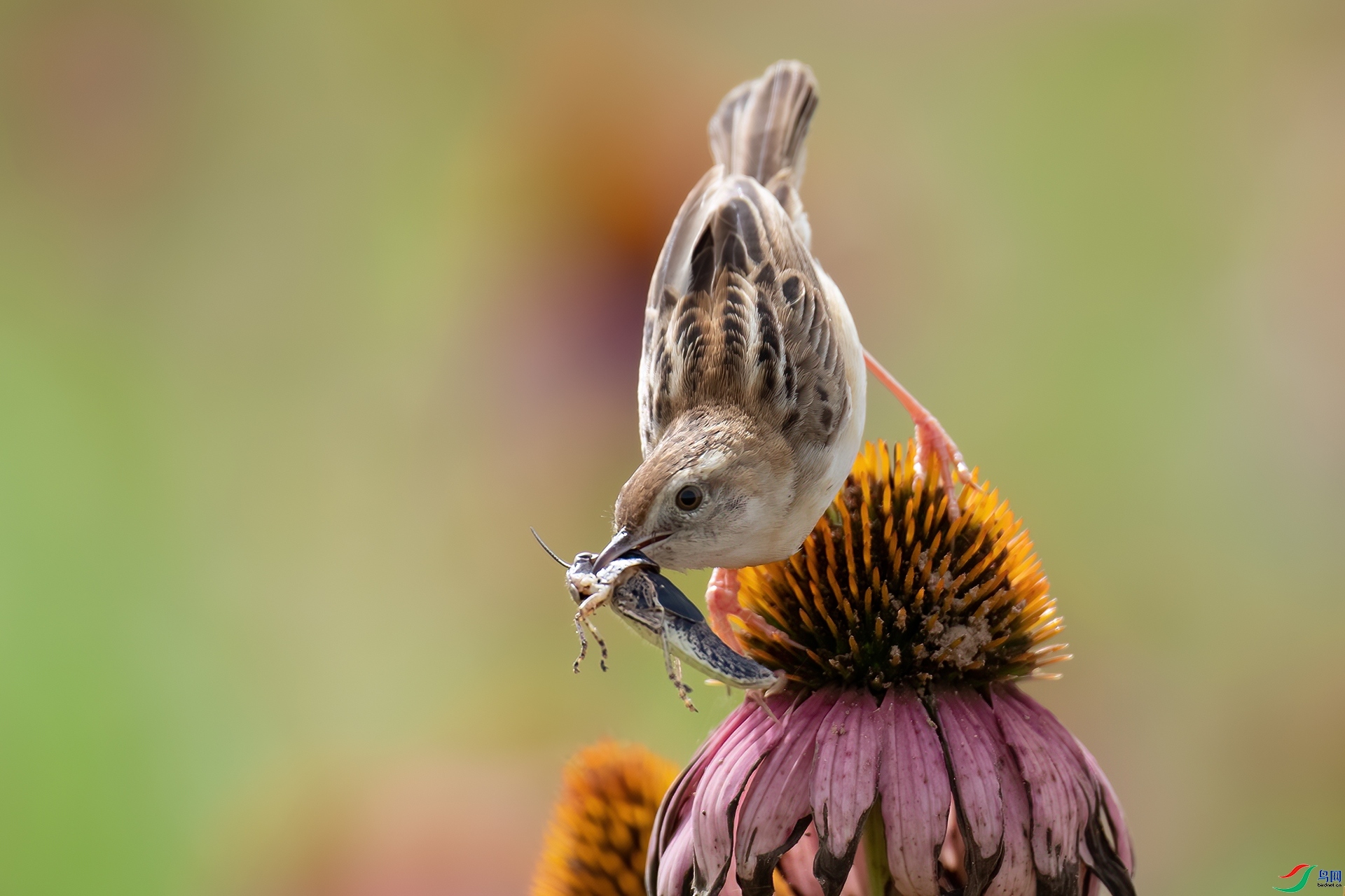 8.30ɽ��ˮ����ʦ��Ʒ   ��������  �ٻ�2023��8��30����ҳ������.jpg