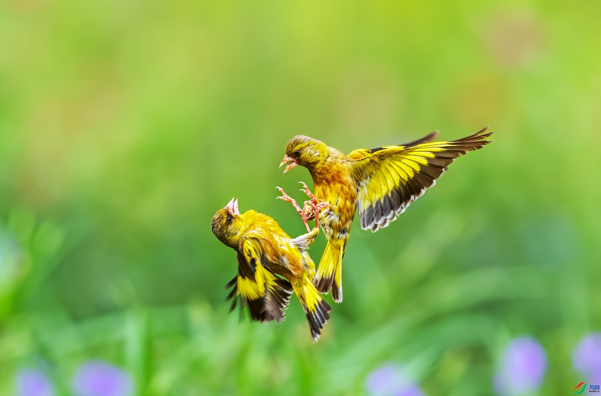 8.30������ͯ��ʦ��Ʒ   ����̫��  �ٻ�2023��8��30����ҳ������.jpg