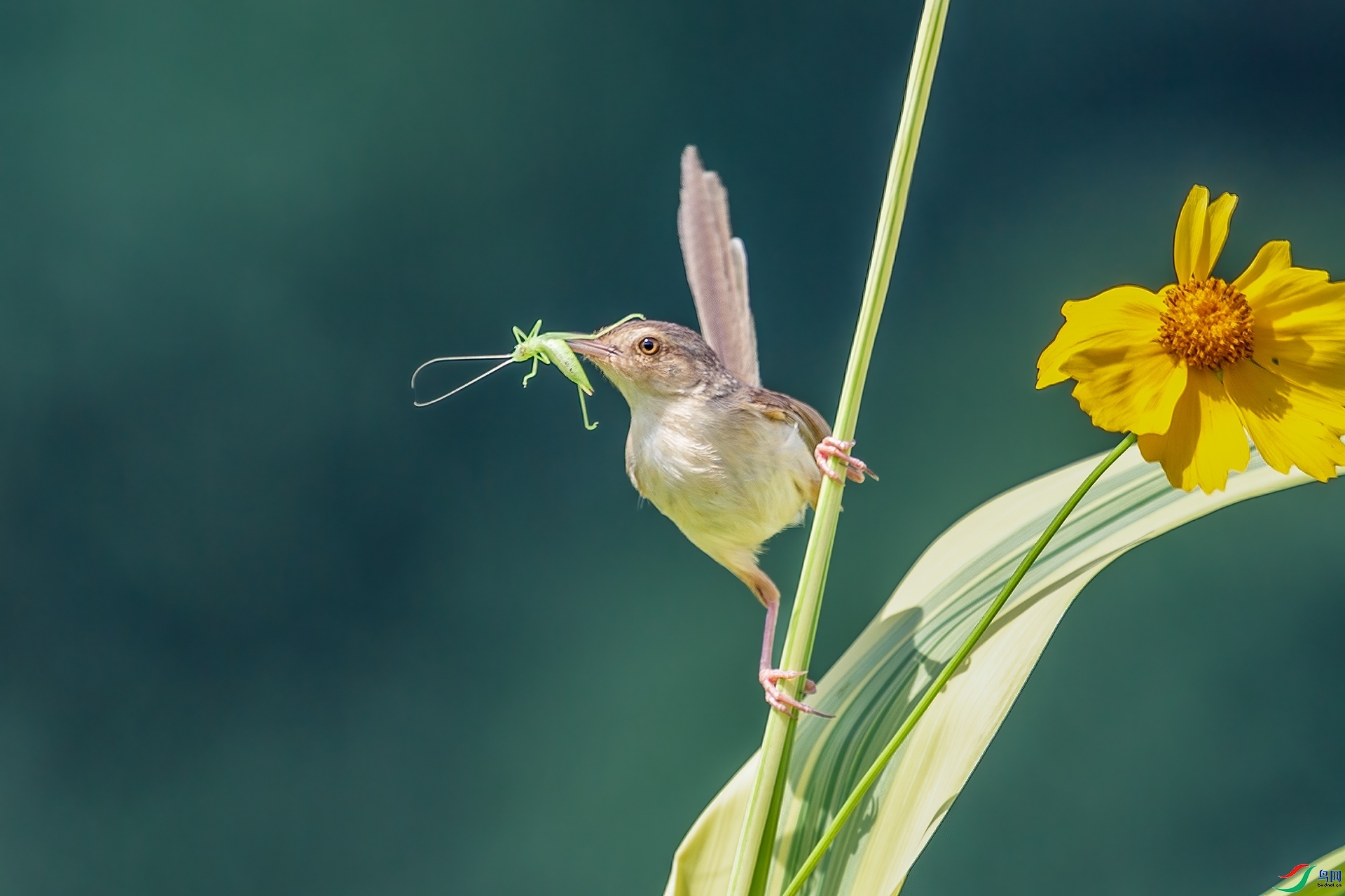 8.31������ѩ��ʦ��Ʒ  ��ݺ  �ٻ�2023��8��31����ҳ������.jpg