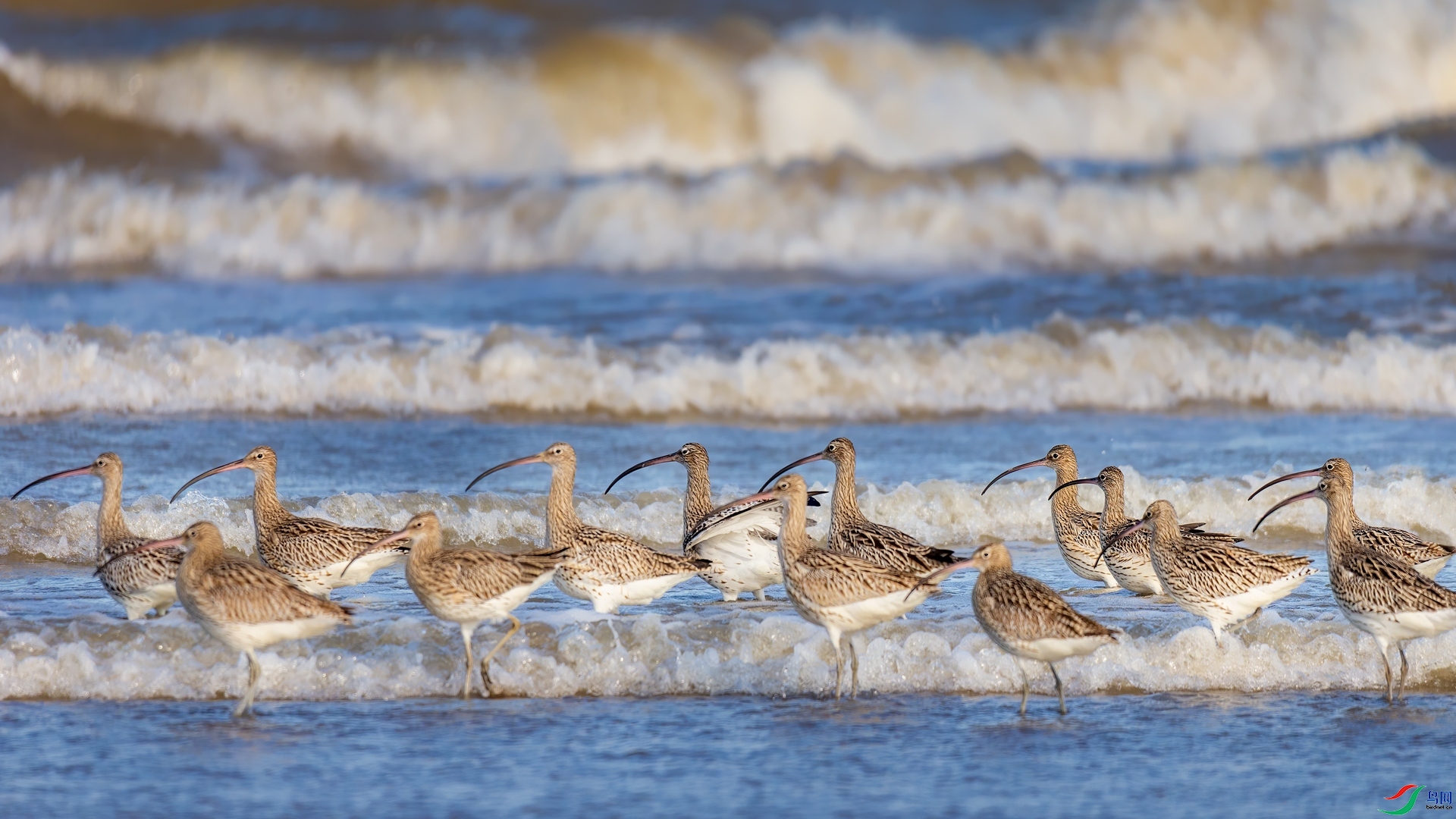 8.31Դ����Ȼ��ʦ��Ʒ  ����ӵ������  �ٻ�2023��8��31����ҳ������.jpg