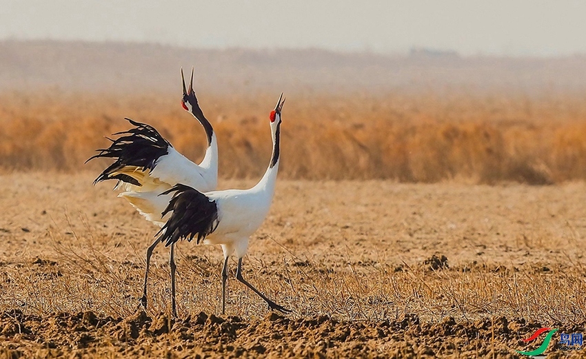 9.1������ʦ��Ʒ   ������  �ٻ�2023��9��1����ҳ������.jpg