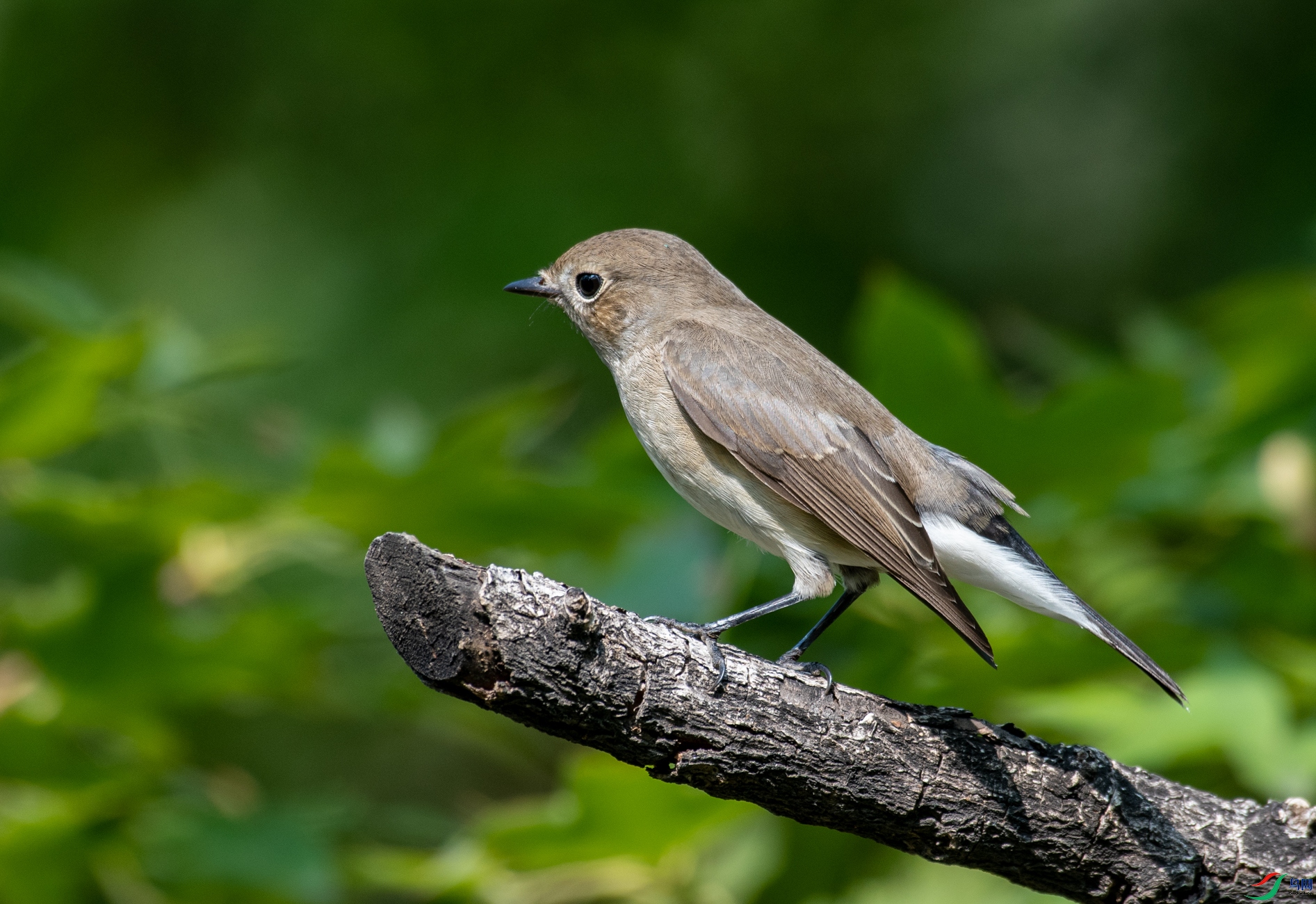 DSC_0630.jpg