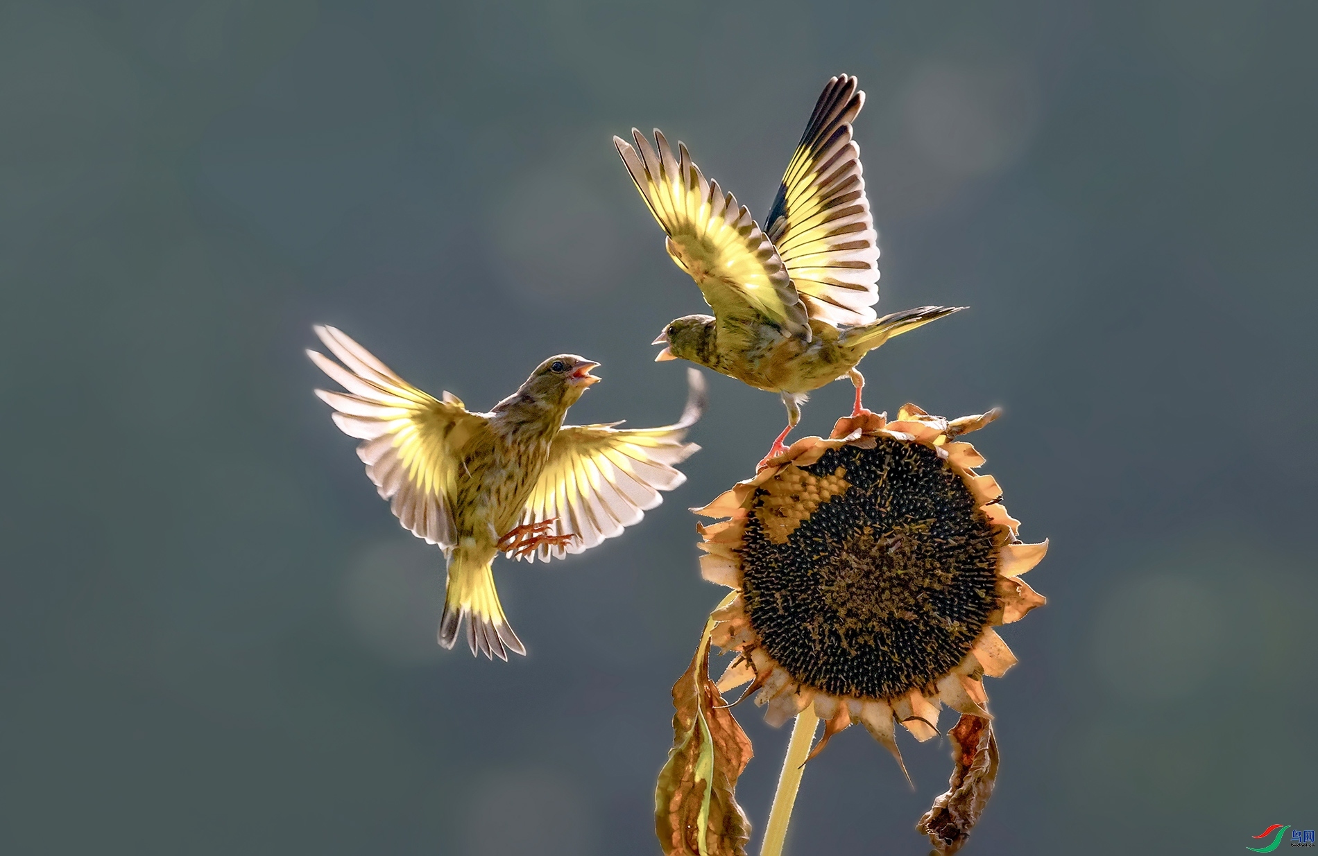 9.5luenxiang1120��ʦ��Ʒ   ��������  �ٻ�2023��9��5����ҳ������.jpg