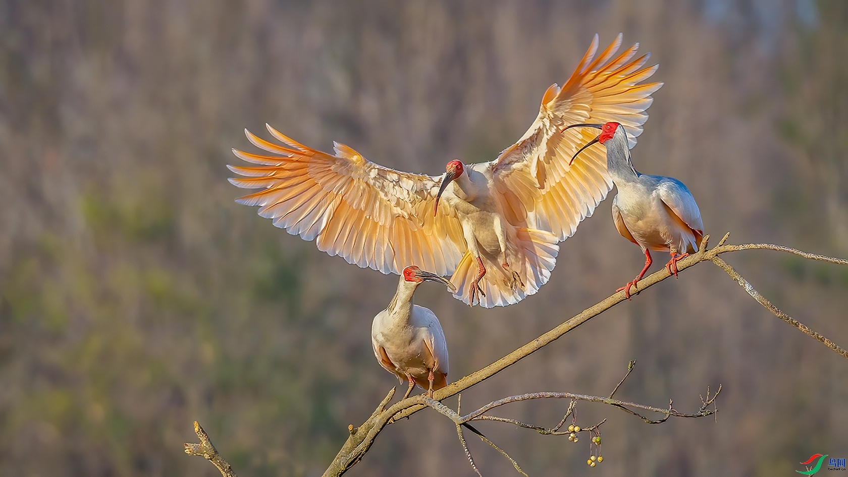 9.5������ѩ��ʦ��Ʒ   ���q  �ٻ�2023��9��5����ҳ������.jpg