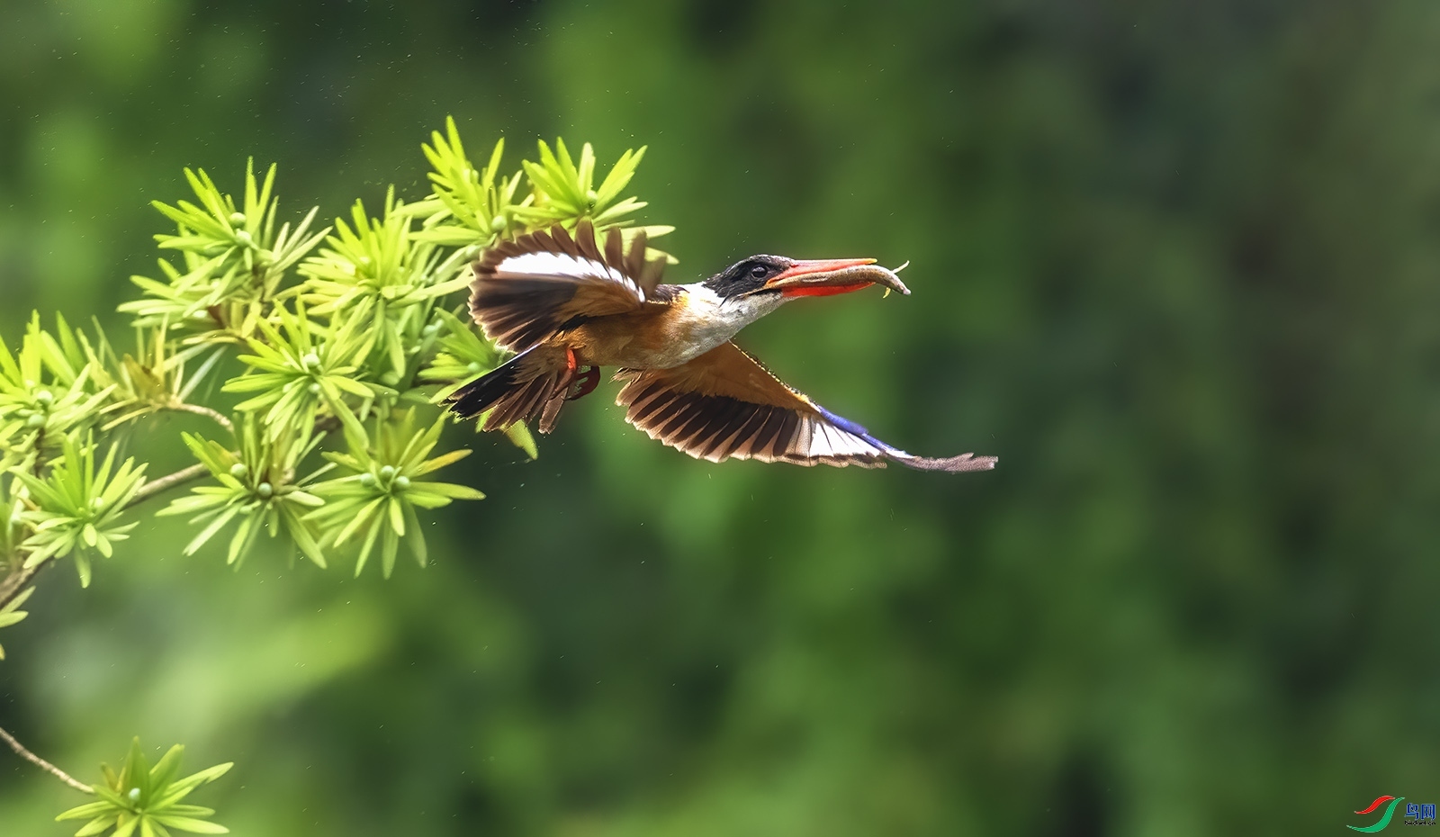 9.6�ʷ�ţ��ʦ��Ʒ   �ؼ�ι��  �ٻ�2023��9��6����ҳ������.jpg