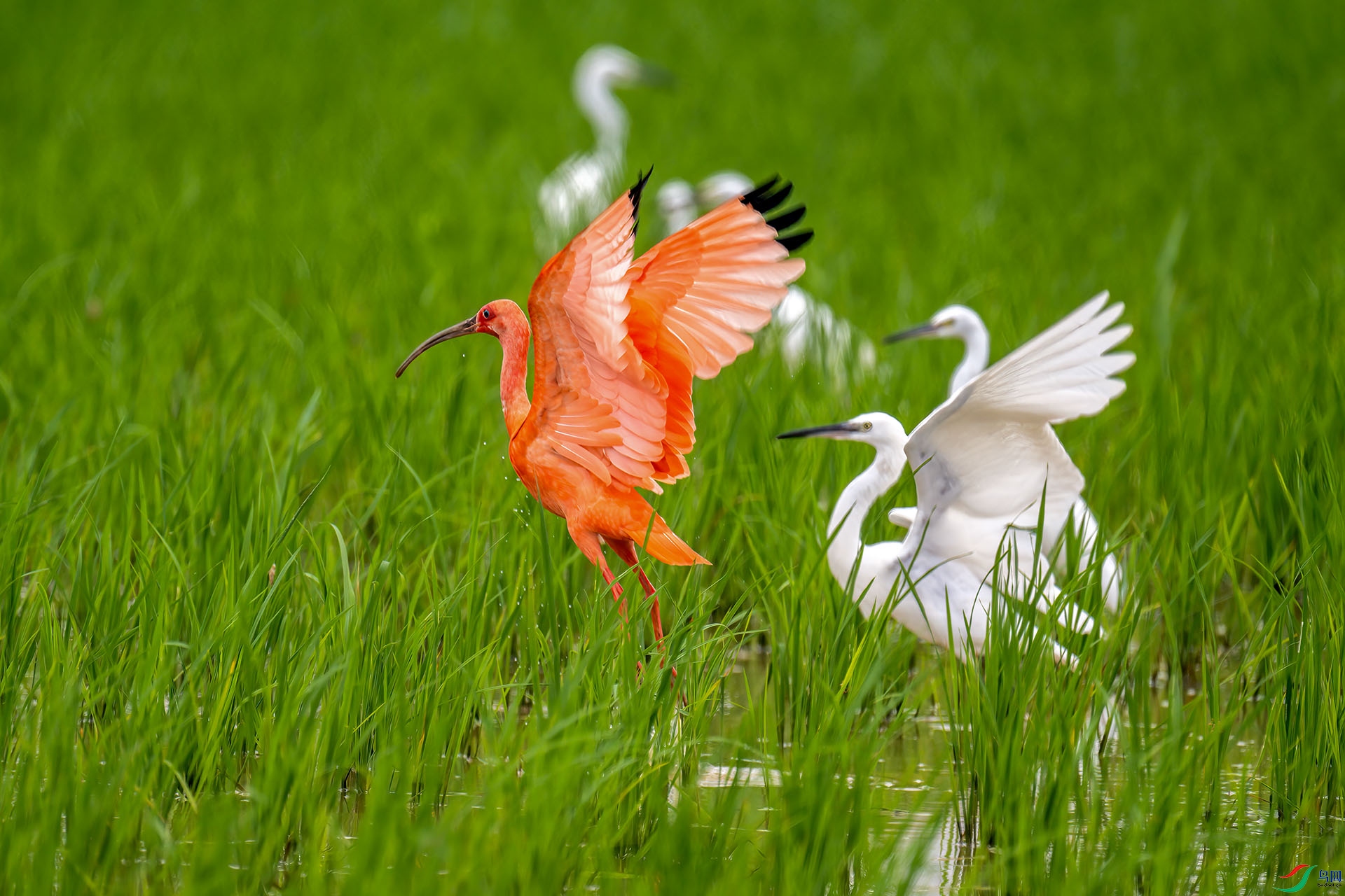 _DSC9606 ���� 2.jpg