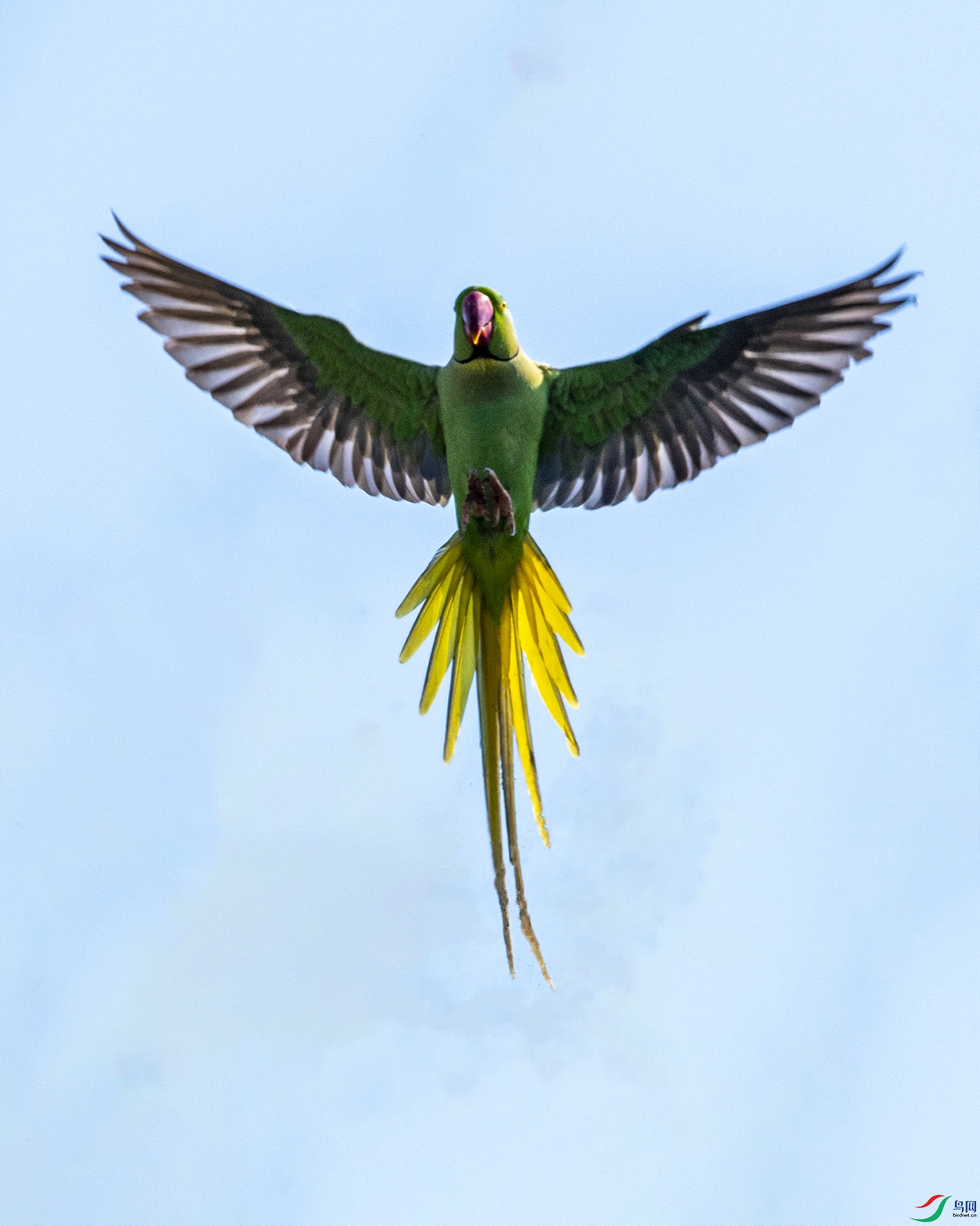 9854 ����.jpg