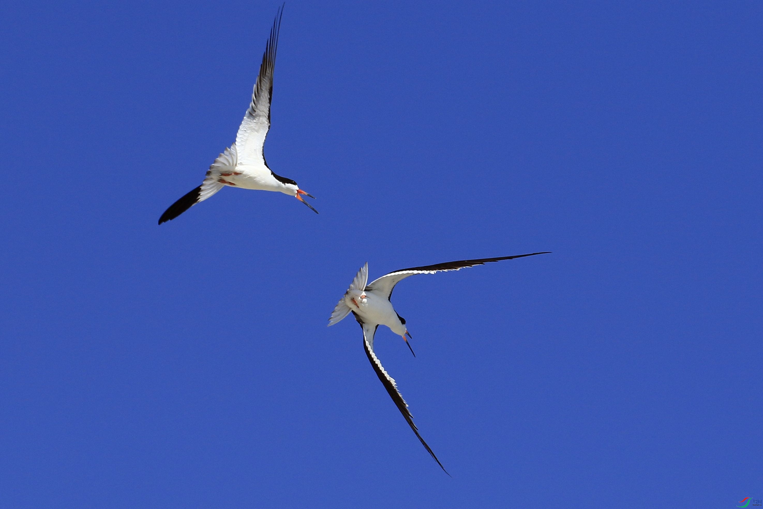 ����Ÿ 02.jpg