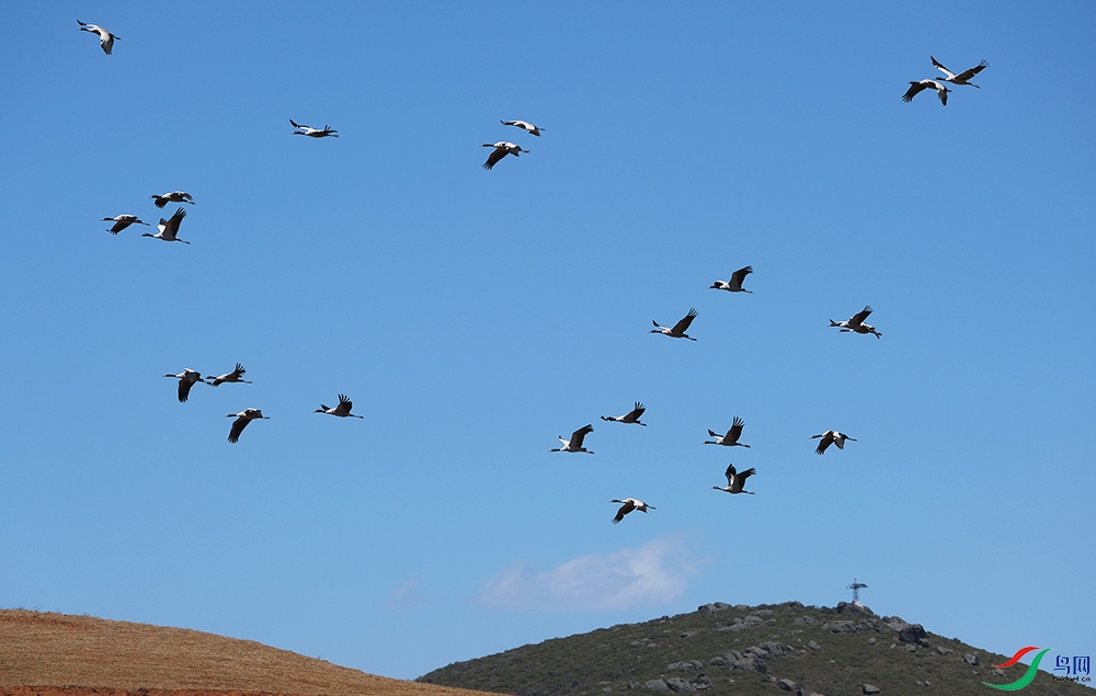 DSCF5779.1.jpg