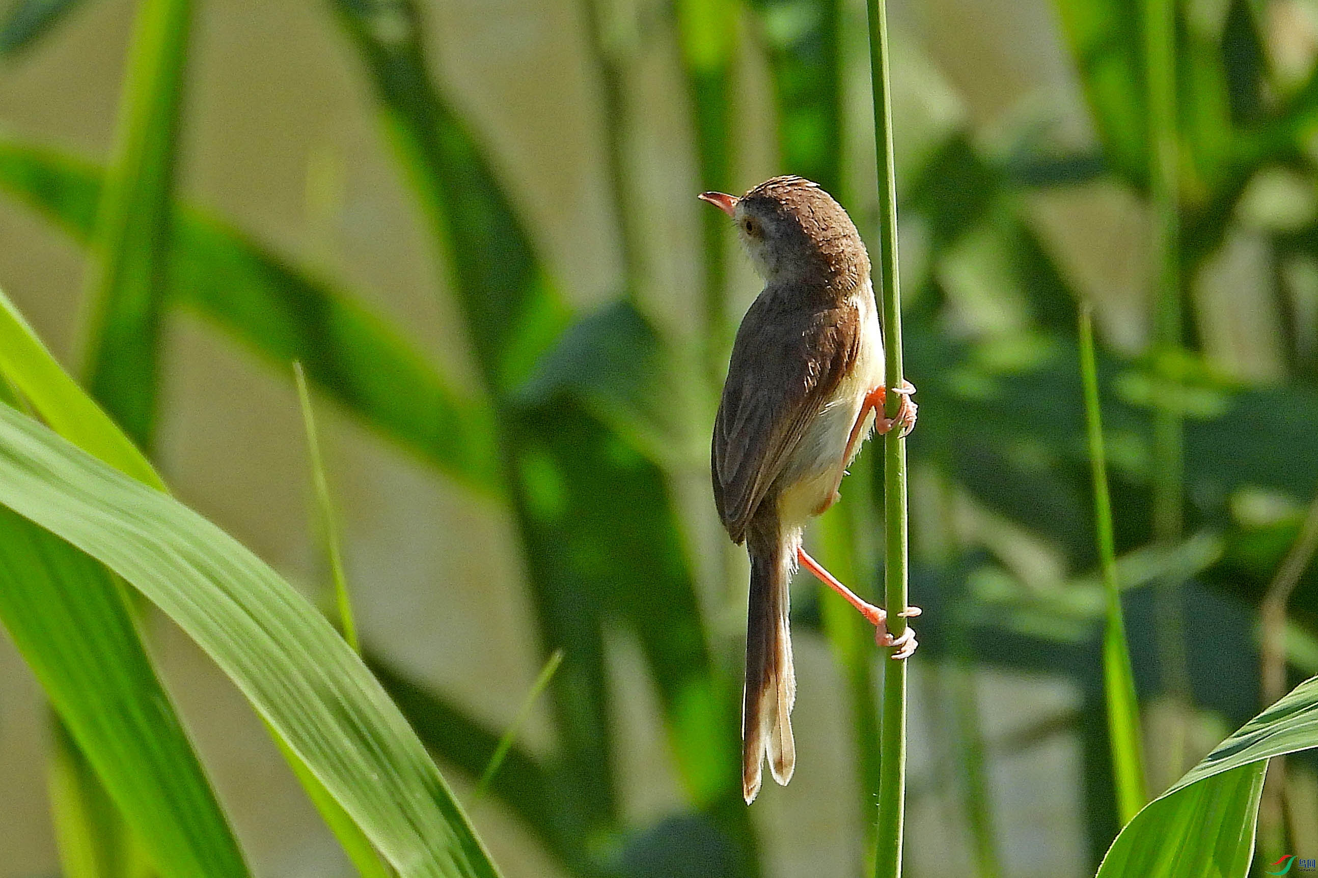 DSCN8165.JPG