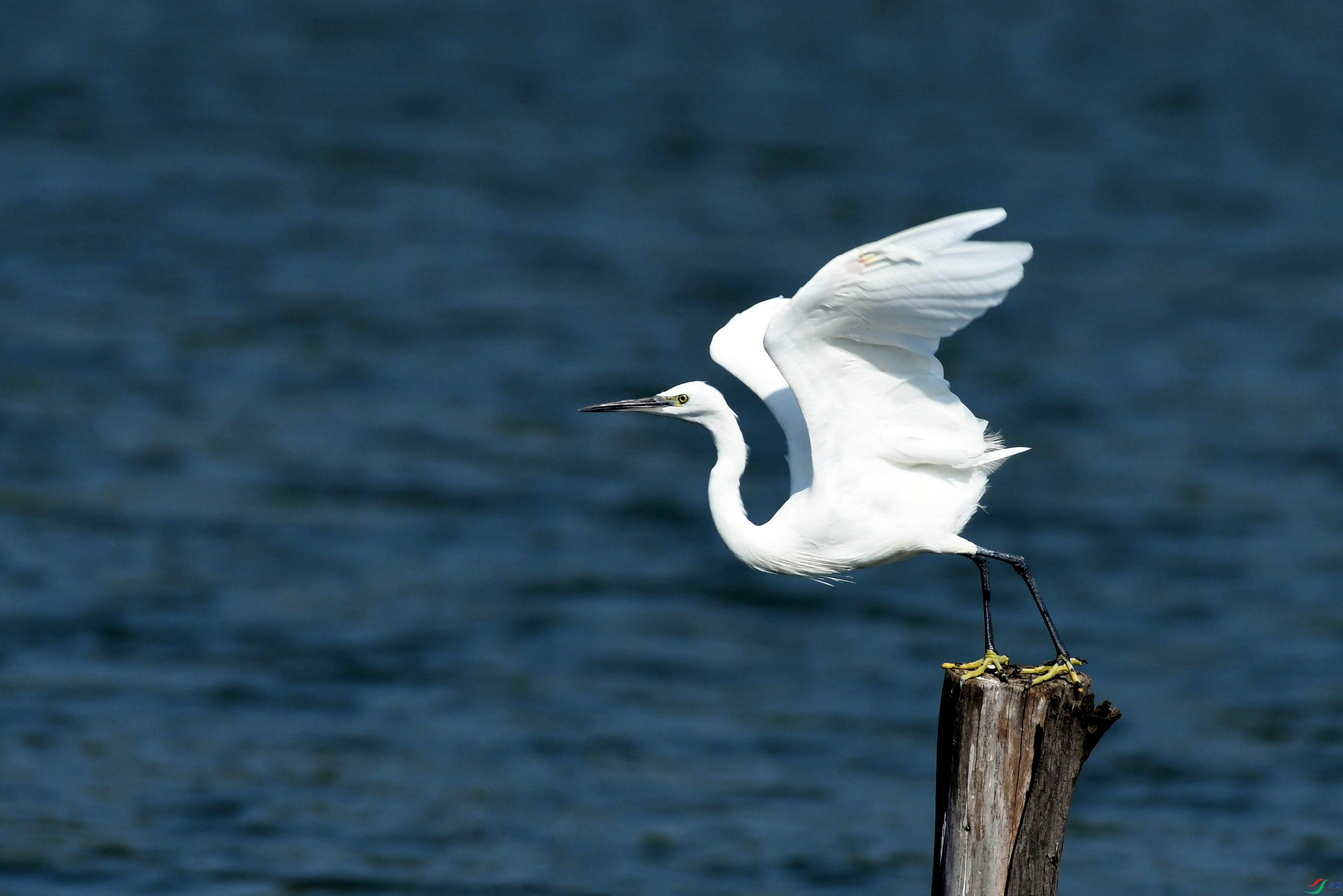 DSC_6616.JPG