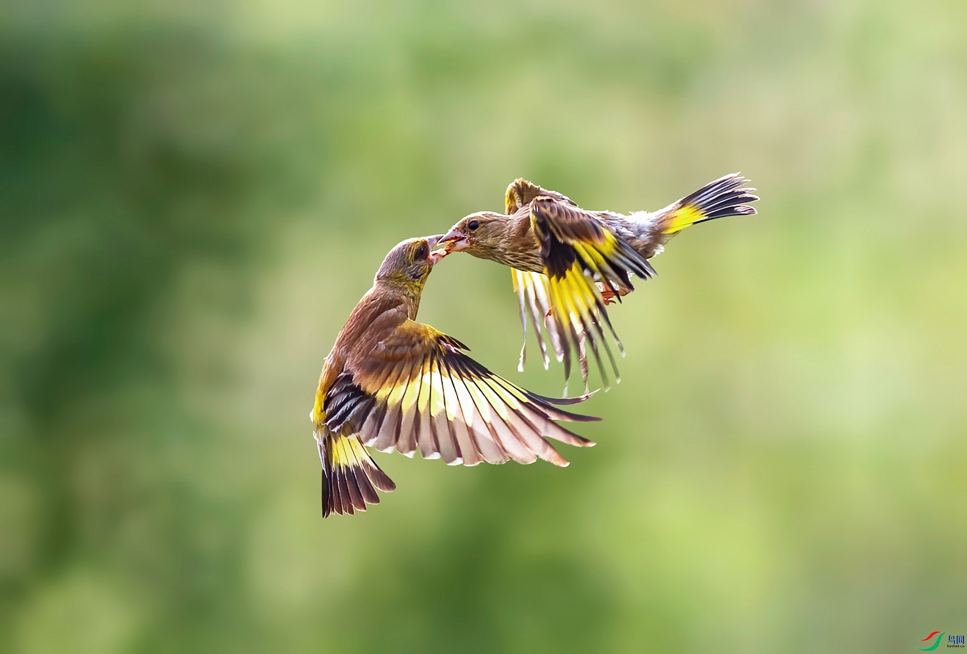 DSC_8173 ����_���� ����.jpg