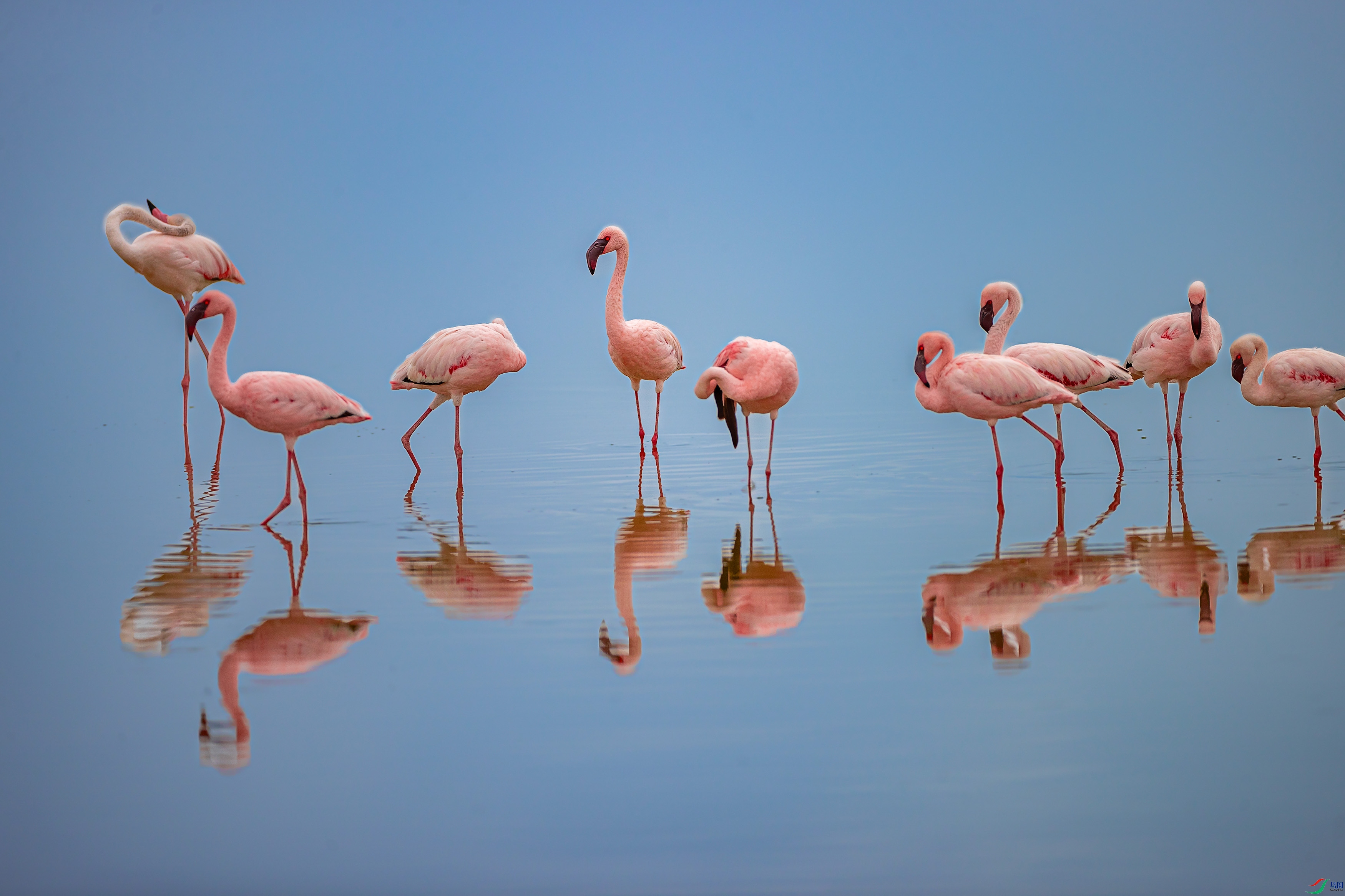 ���ݵĻ�����