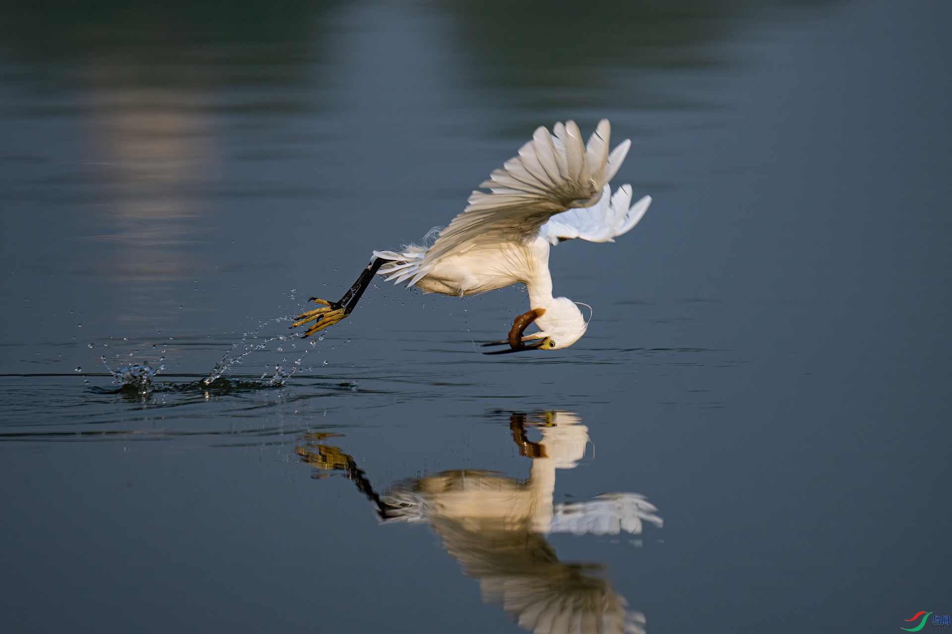 ���� ������ ����.jpg