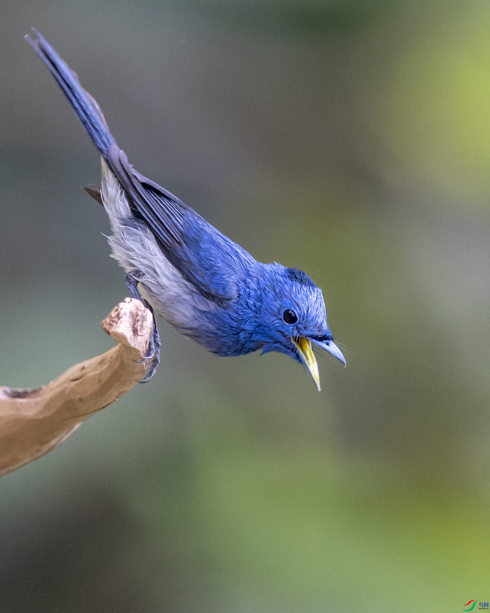 5513 ����.jpg