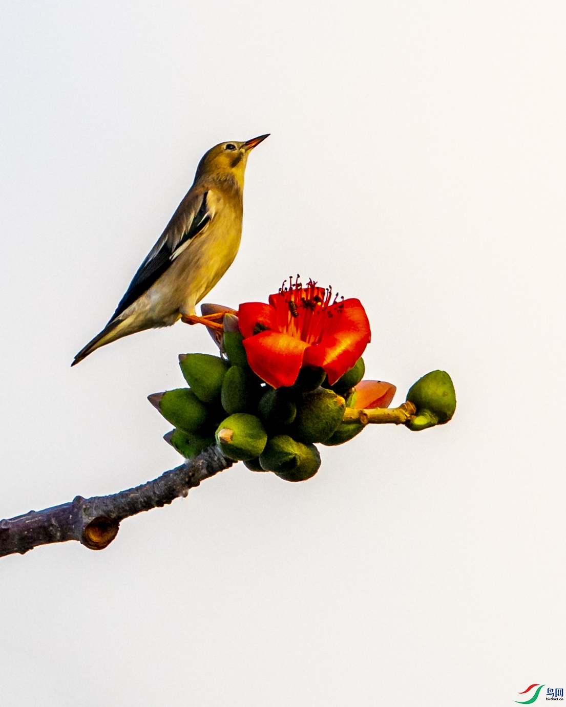 6360 ����.jpg