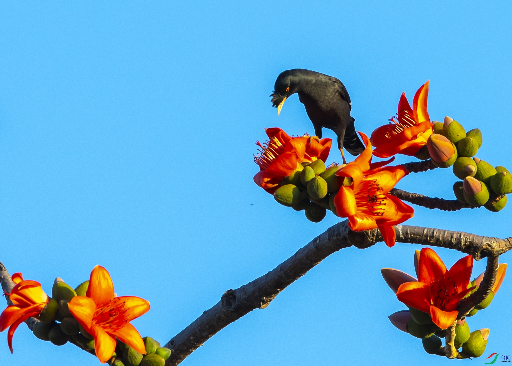 6535 ����.jpg