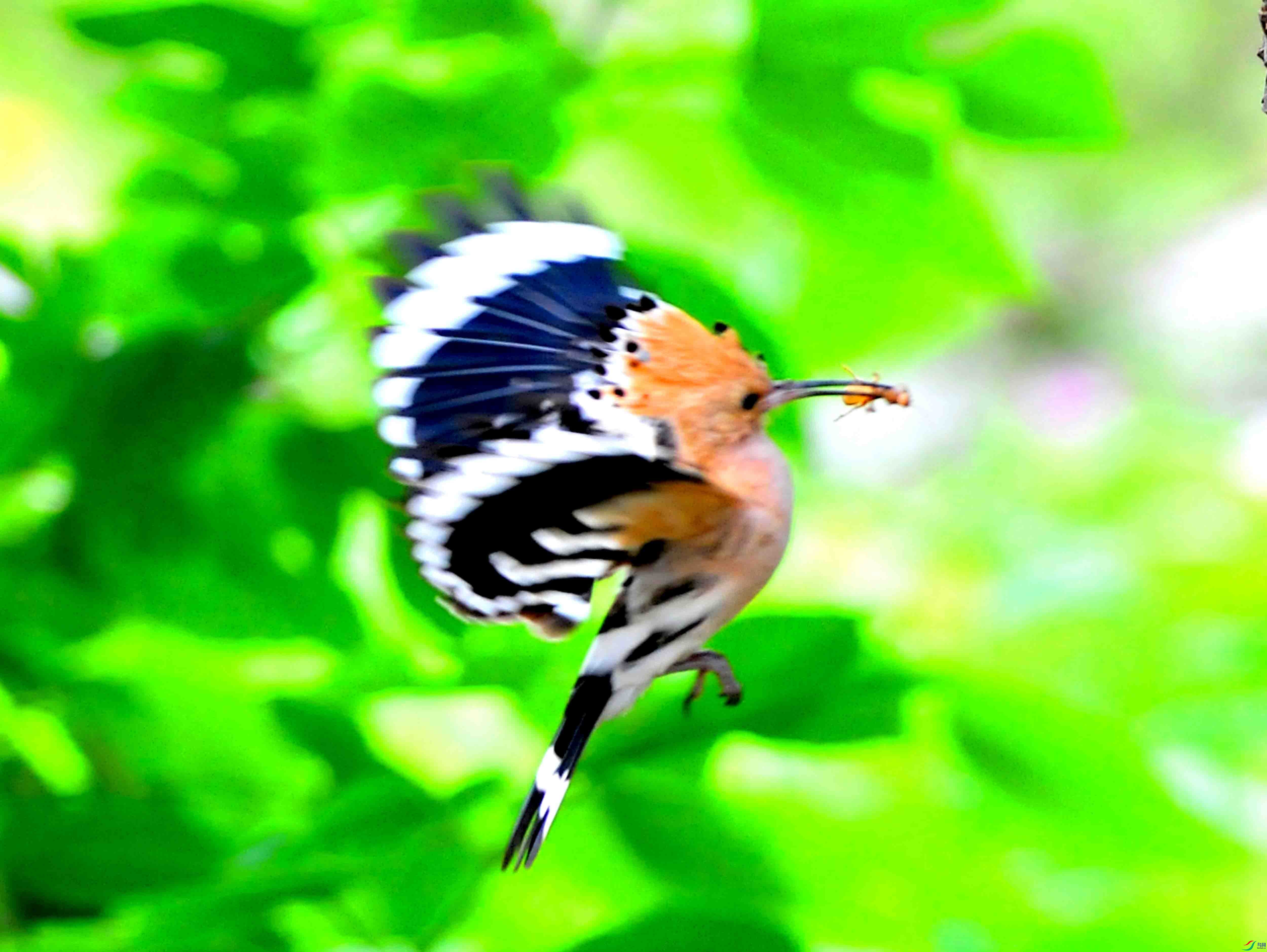 DSC_3956.JPG