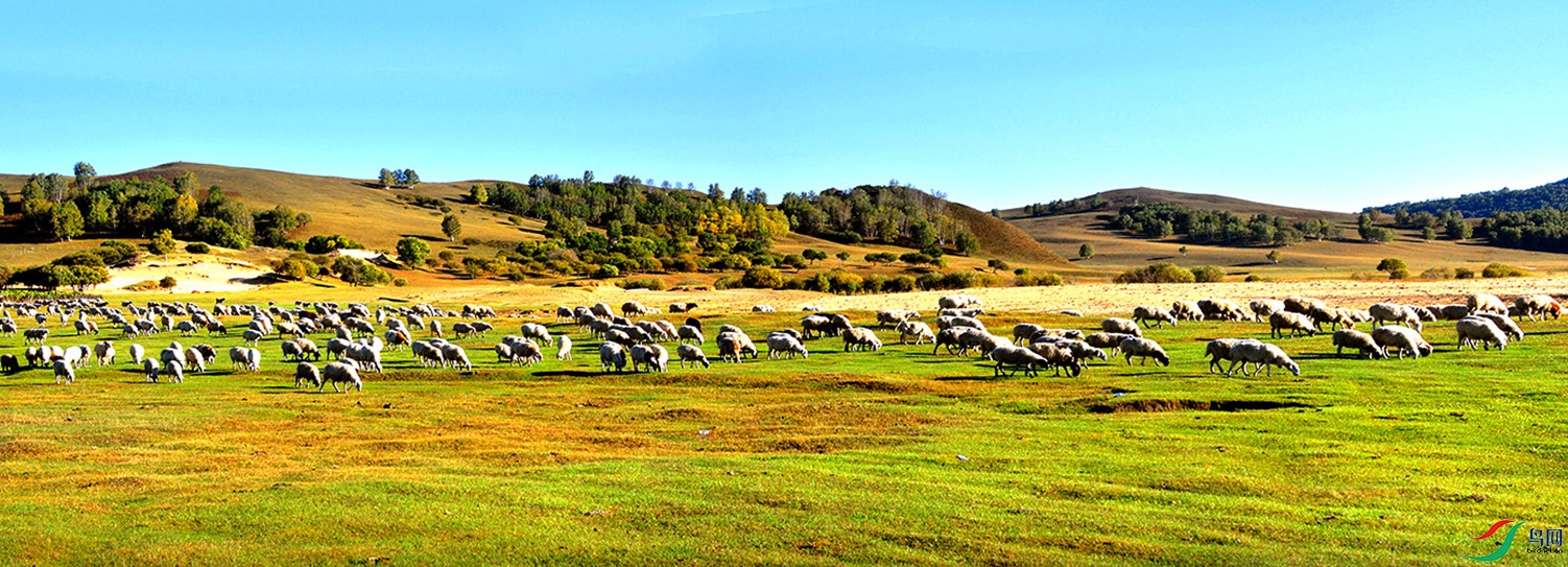 32.�����Ĳ�ԭ8529 30AM.jpg