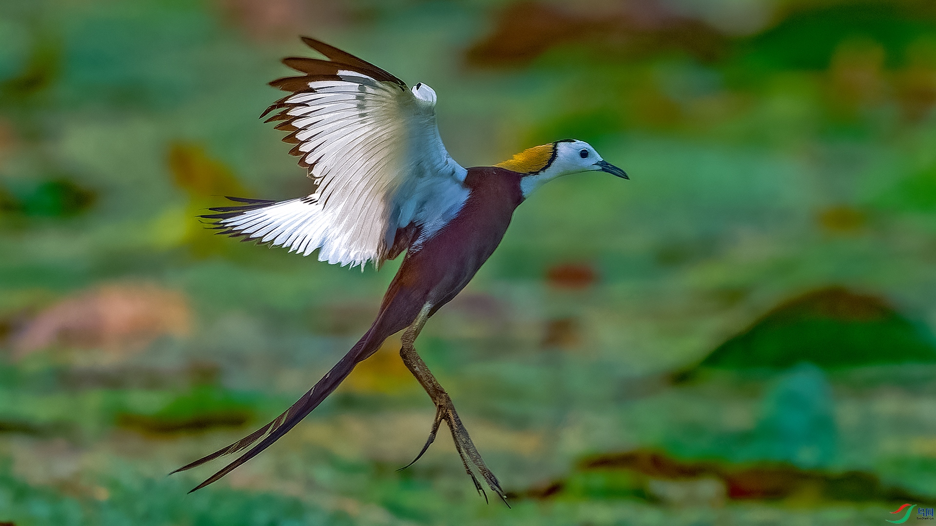 z907��LPY_0345.jpg