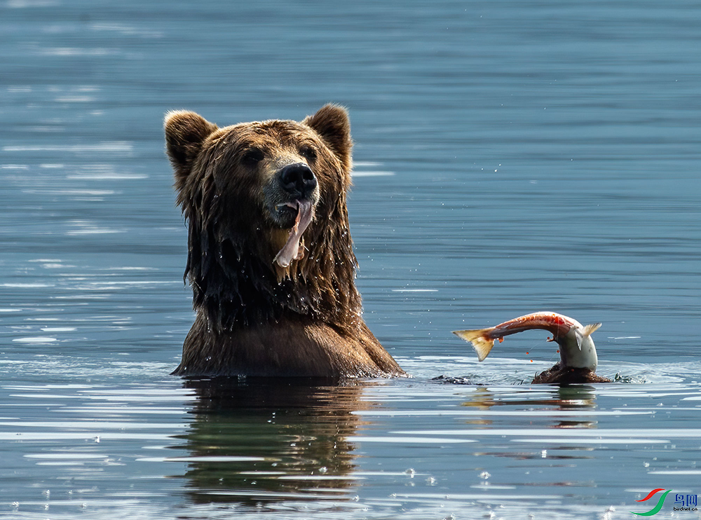 ζ���ü���