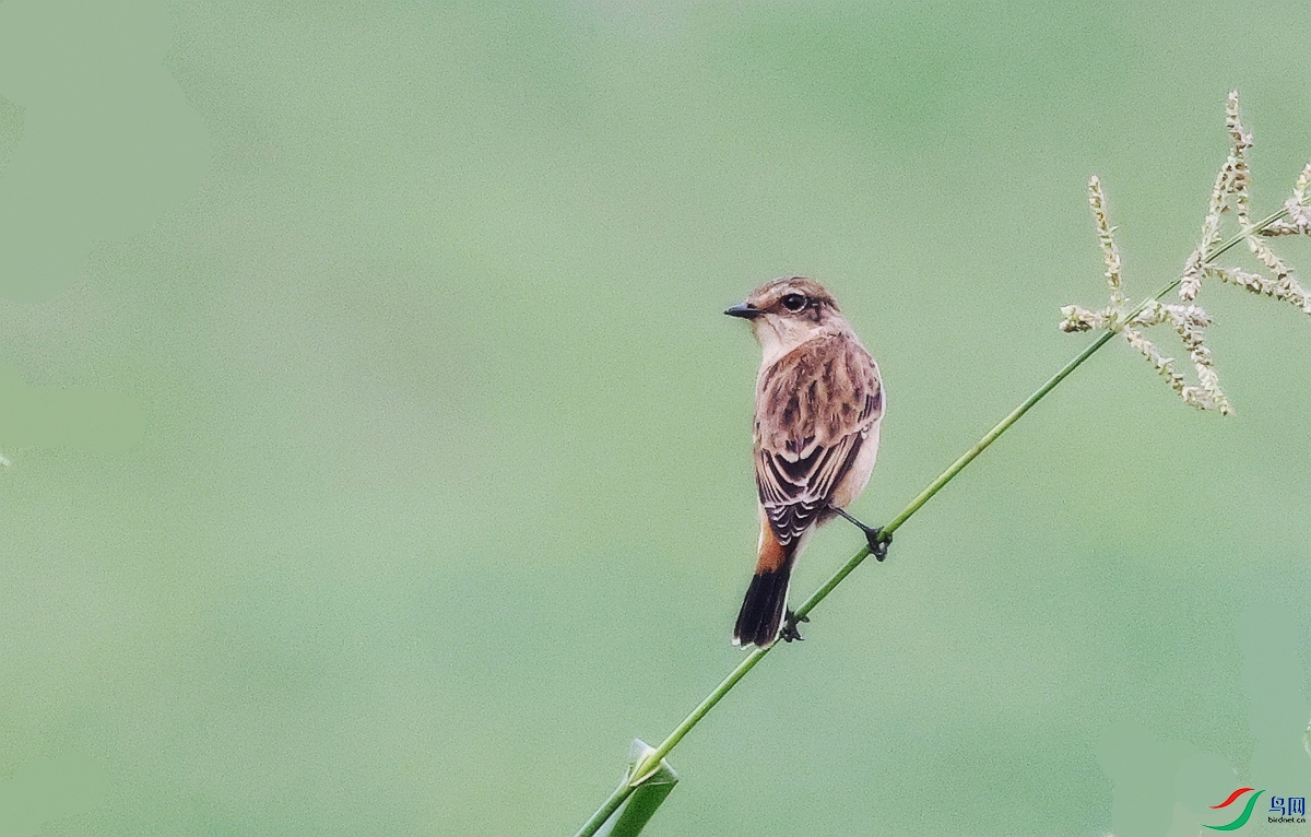 1P3A4014.JPG