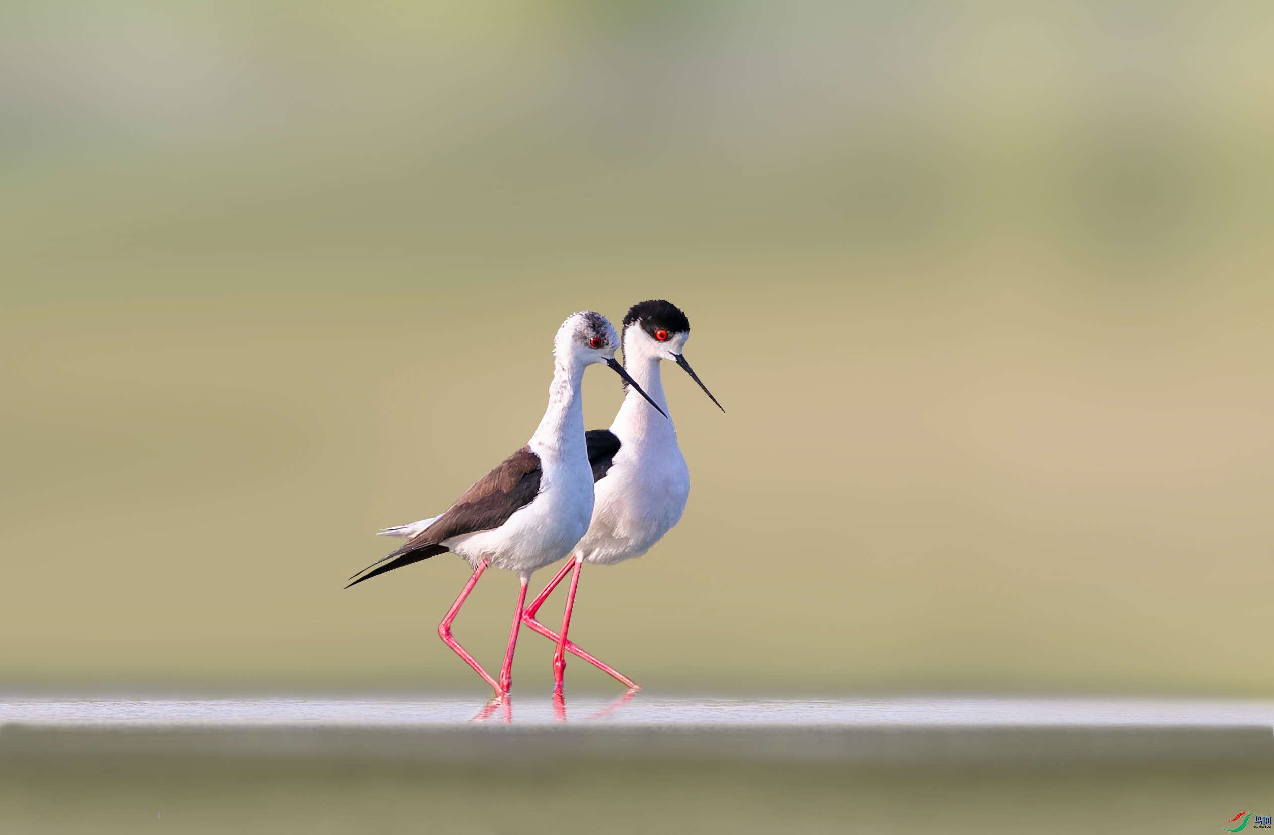 �ڳ᳤����- ���� 2-�ָ��� ����.jpg