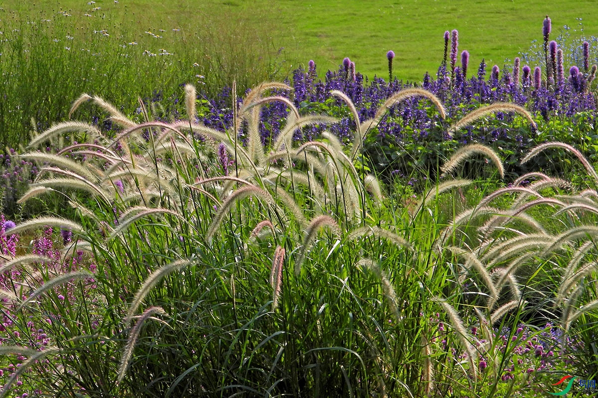 �ߵ���������ʱ���Ϳ��Կ������ݳ������ѵõĻ��龰�ۡ��������޻�̺������������Կ�����β���ࡢ������ ...