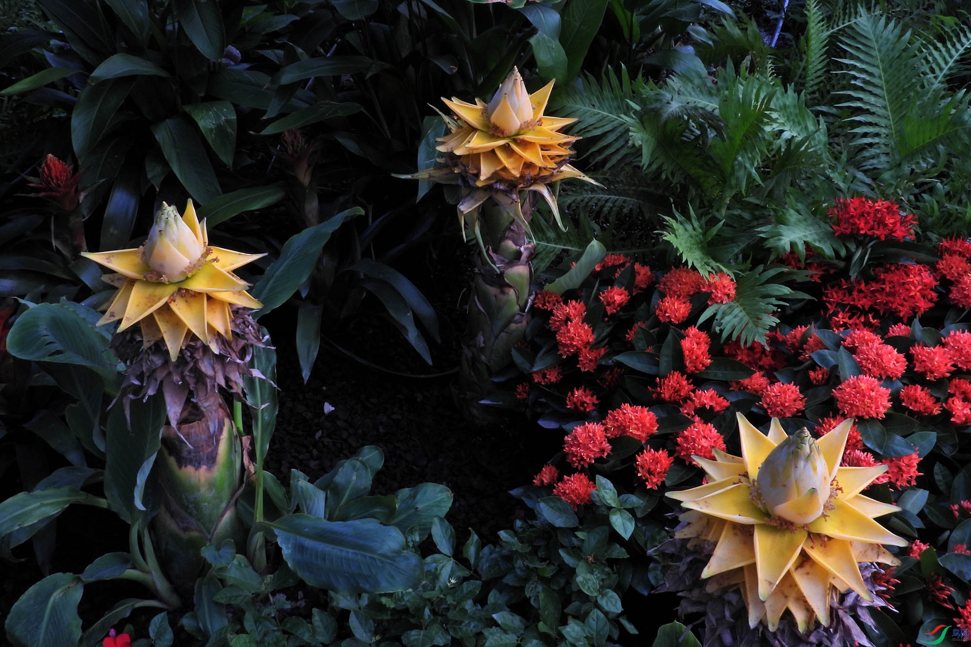 DSCN9763.JPG