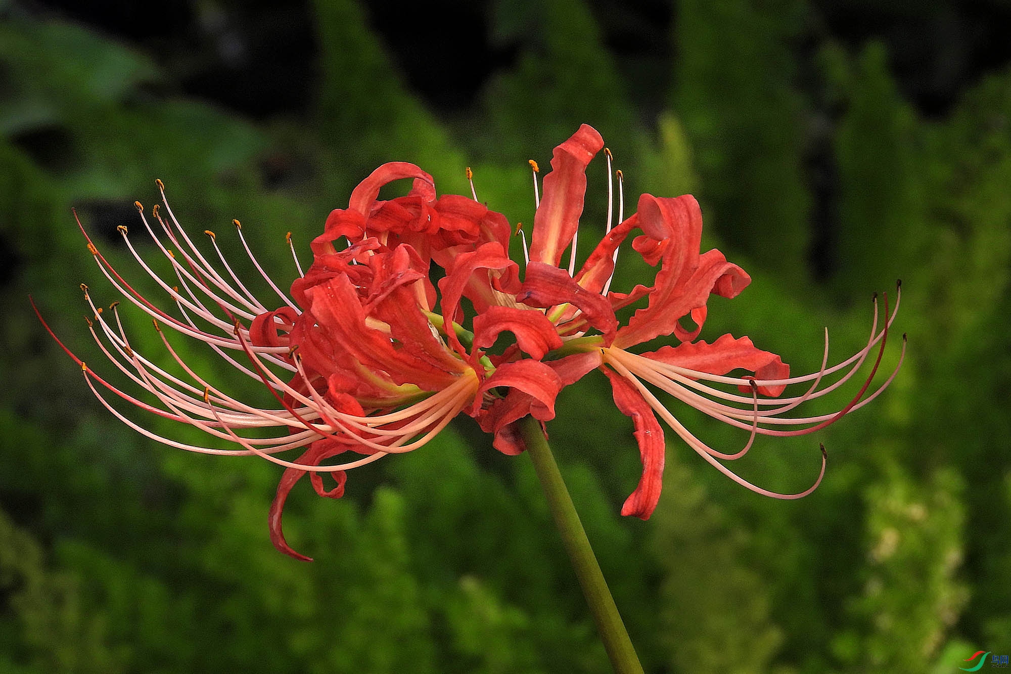 DSCN9811.JPG