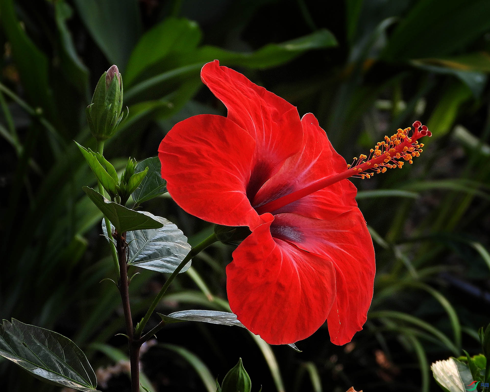 DSCN9815.JPG