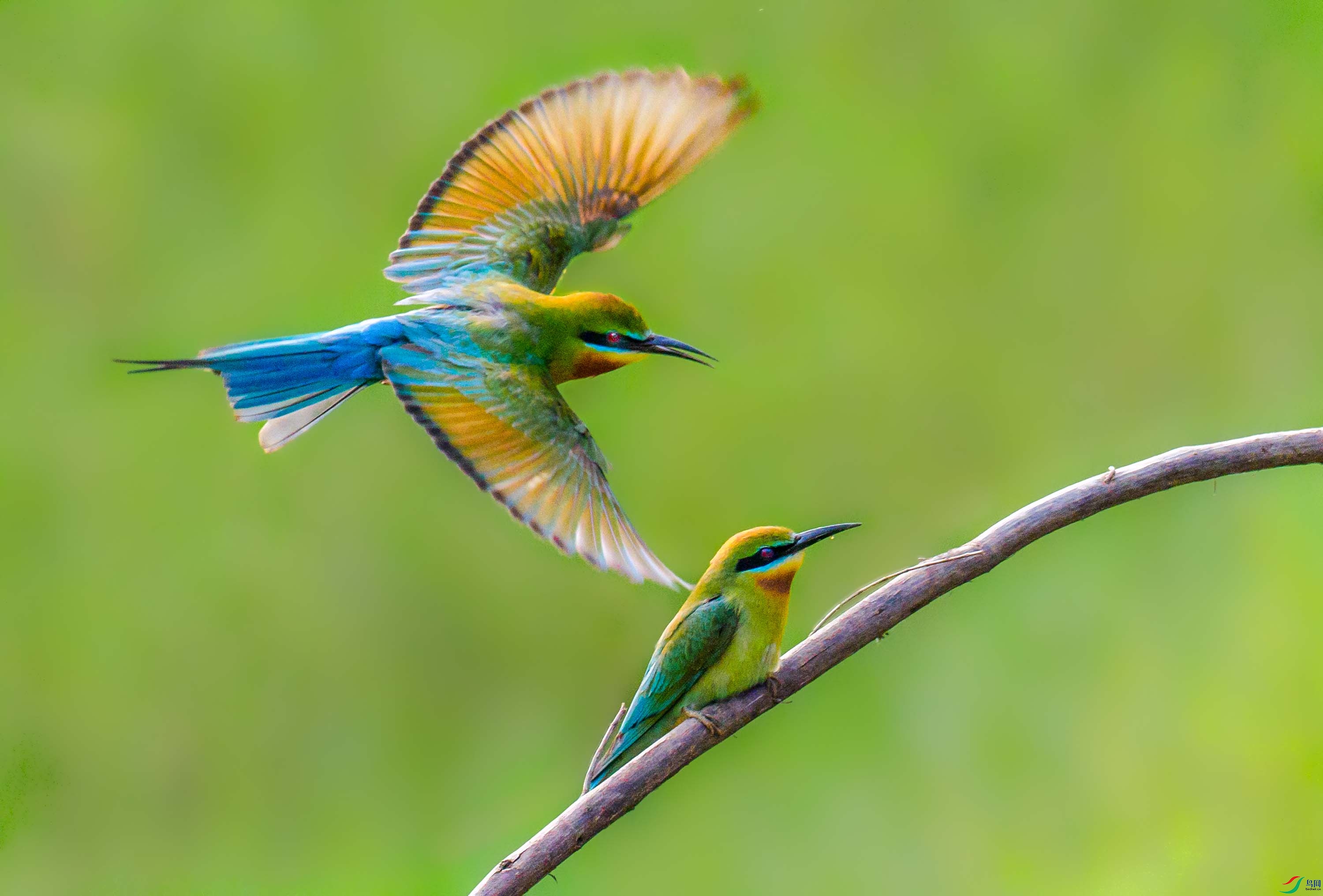 P5093381 ---��.jpg