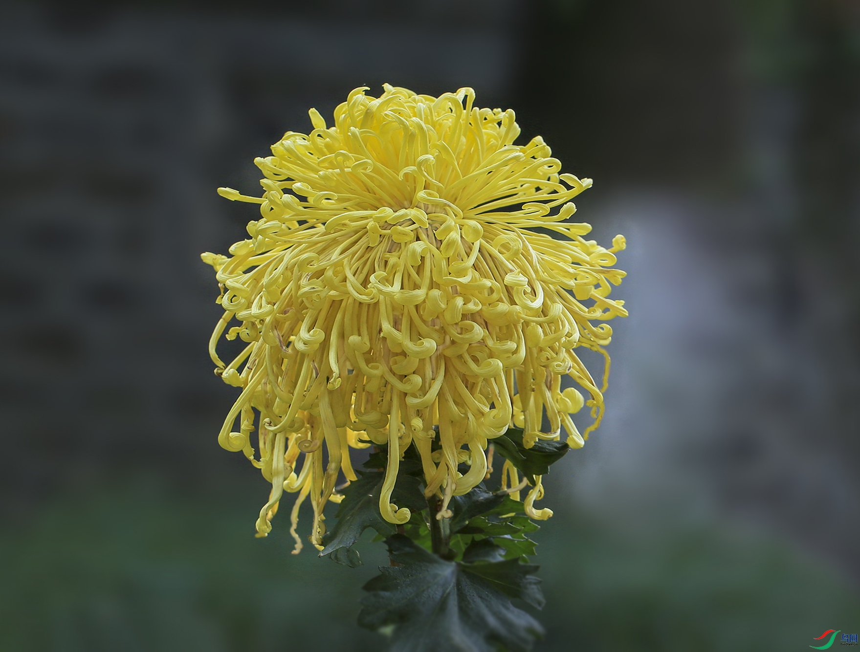 0017858322U9A0946��� ���� 1000k ����.jpg