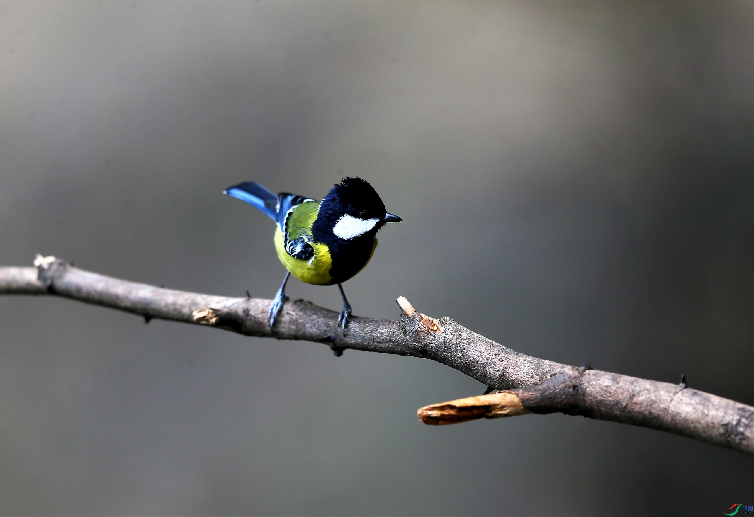 �̱�ɽȸ (5).JPG