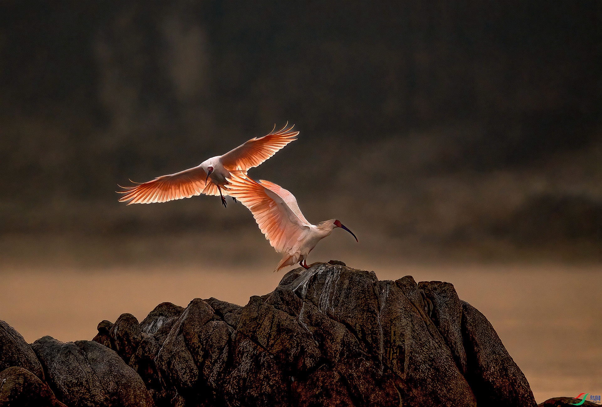 DSC_2714 ����_����_����.jpg