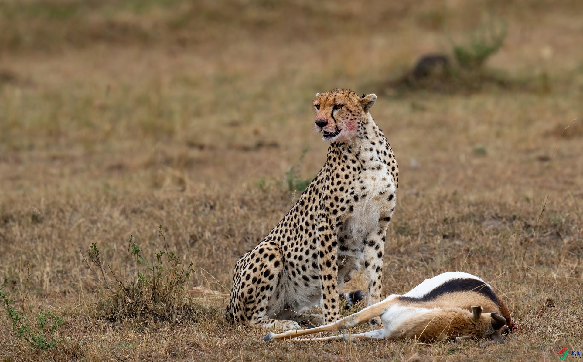 DSC04609-denoise-denoise.jpg