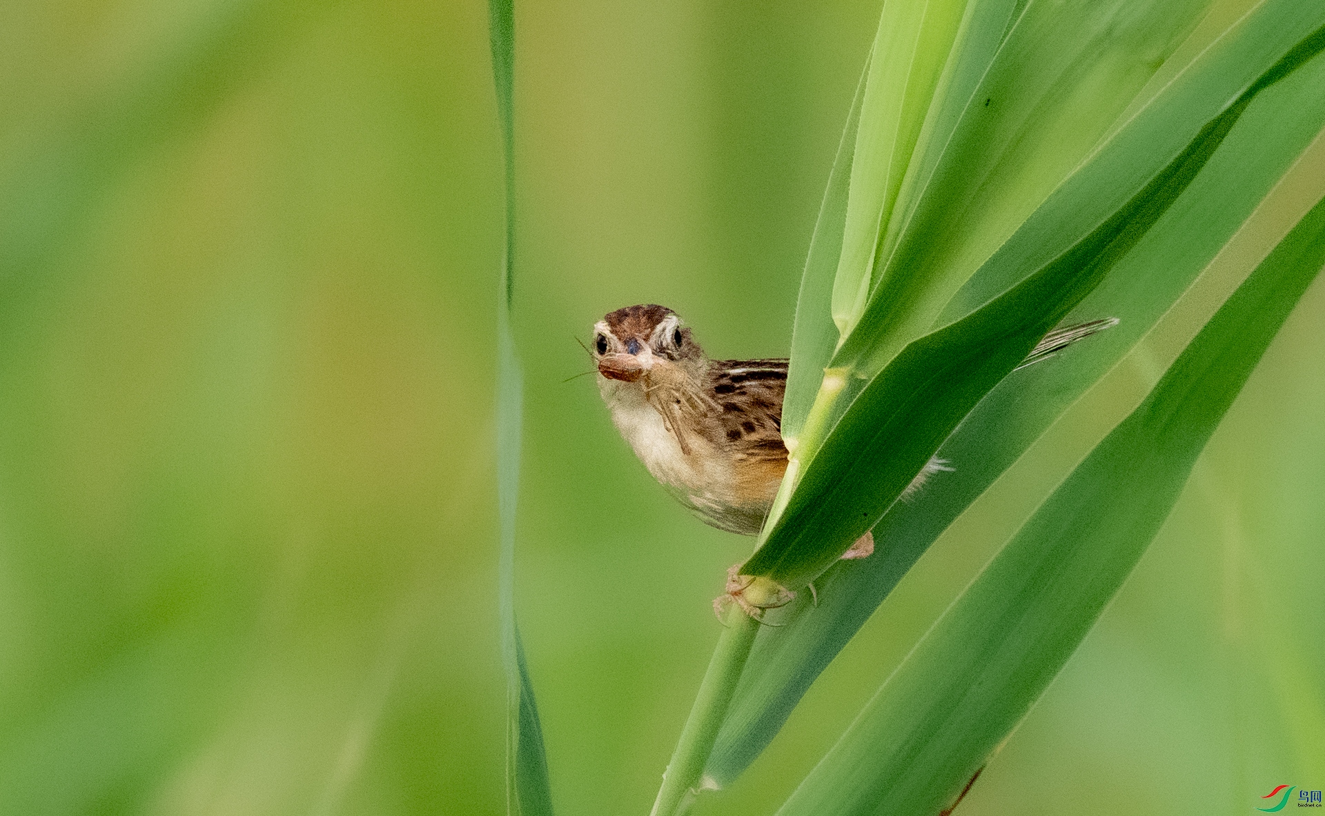 DSC_4055.jpg