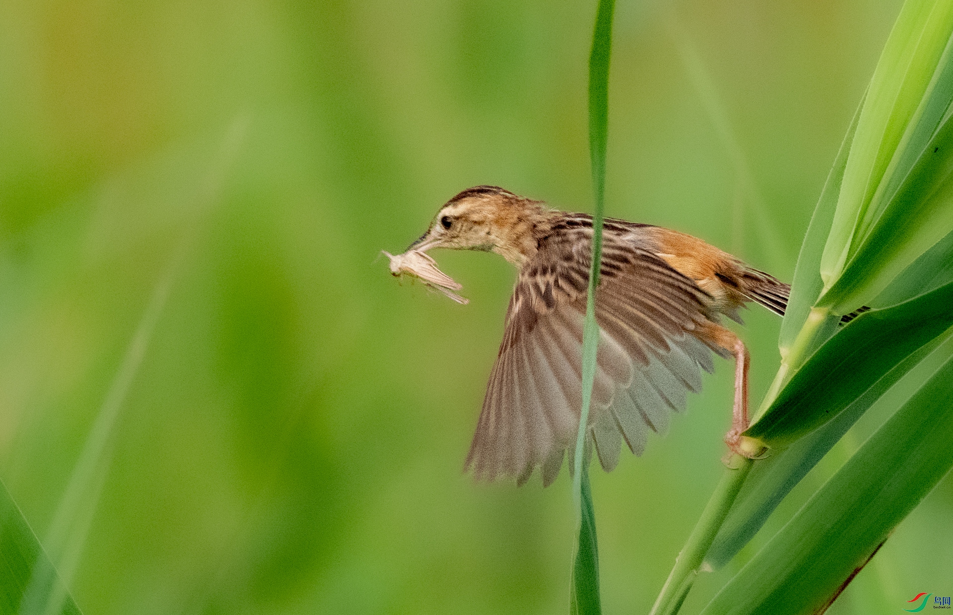 DSC_4074.jpg