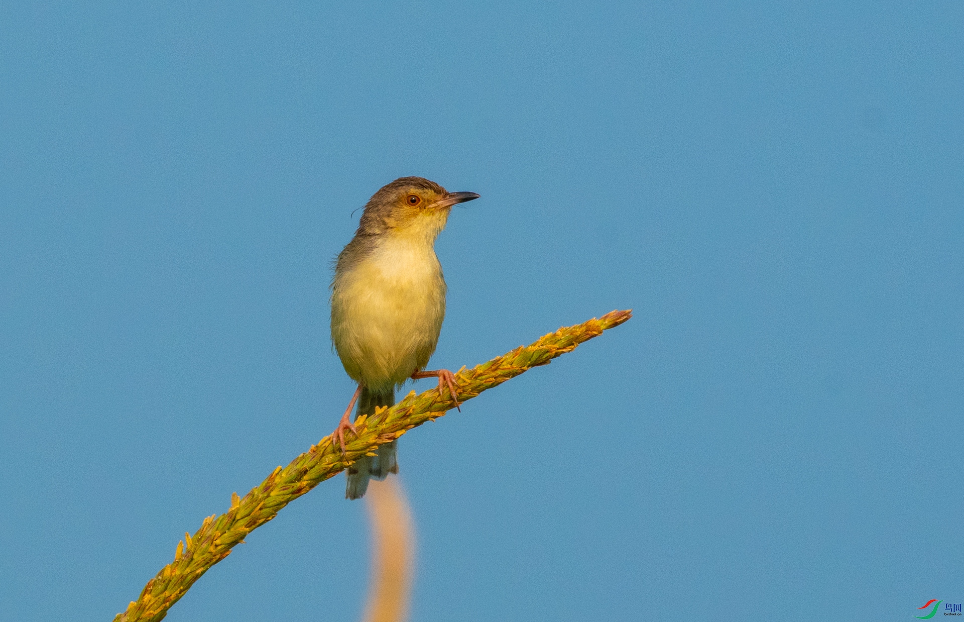 DSC_4700.jpg