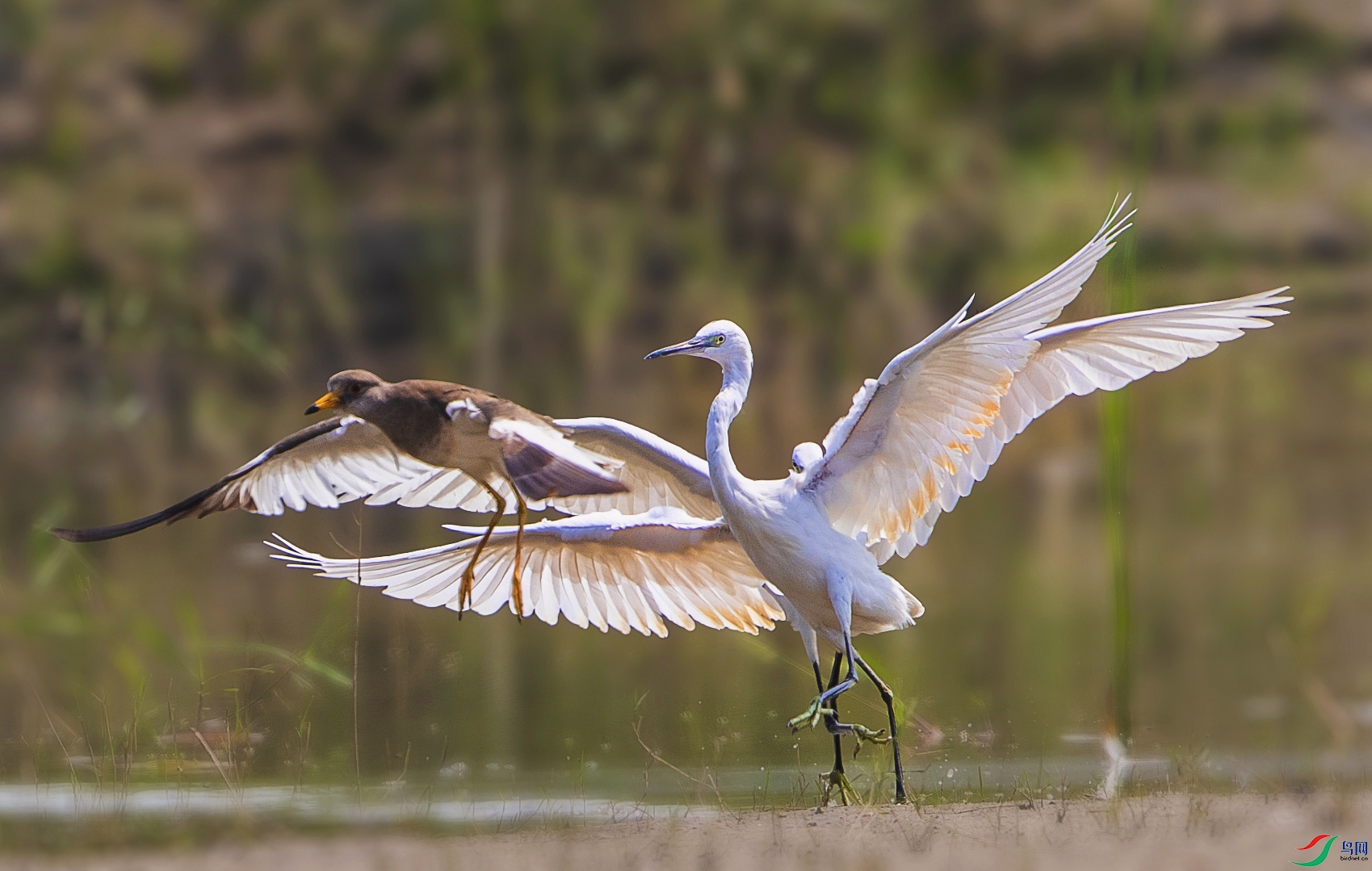 AW4I2720 ����.jpg