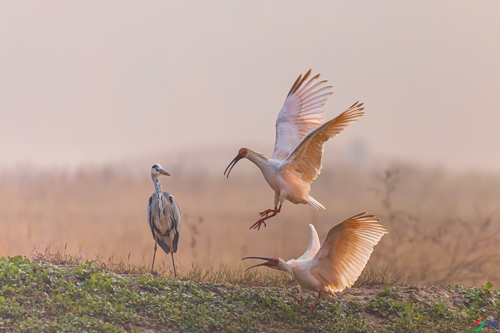 hnxyR221108 (4652).jpg