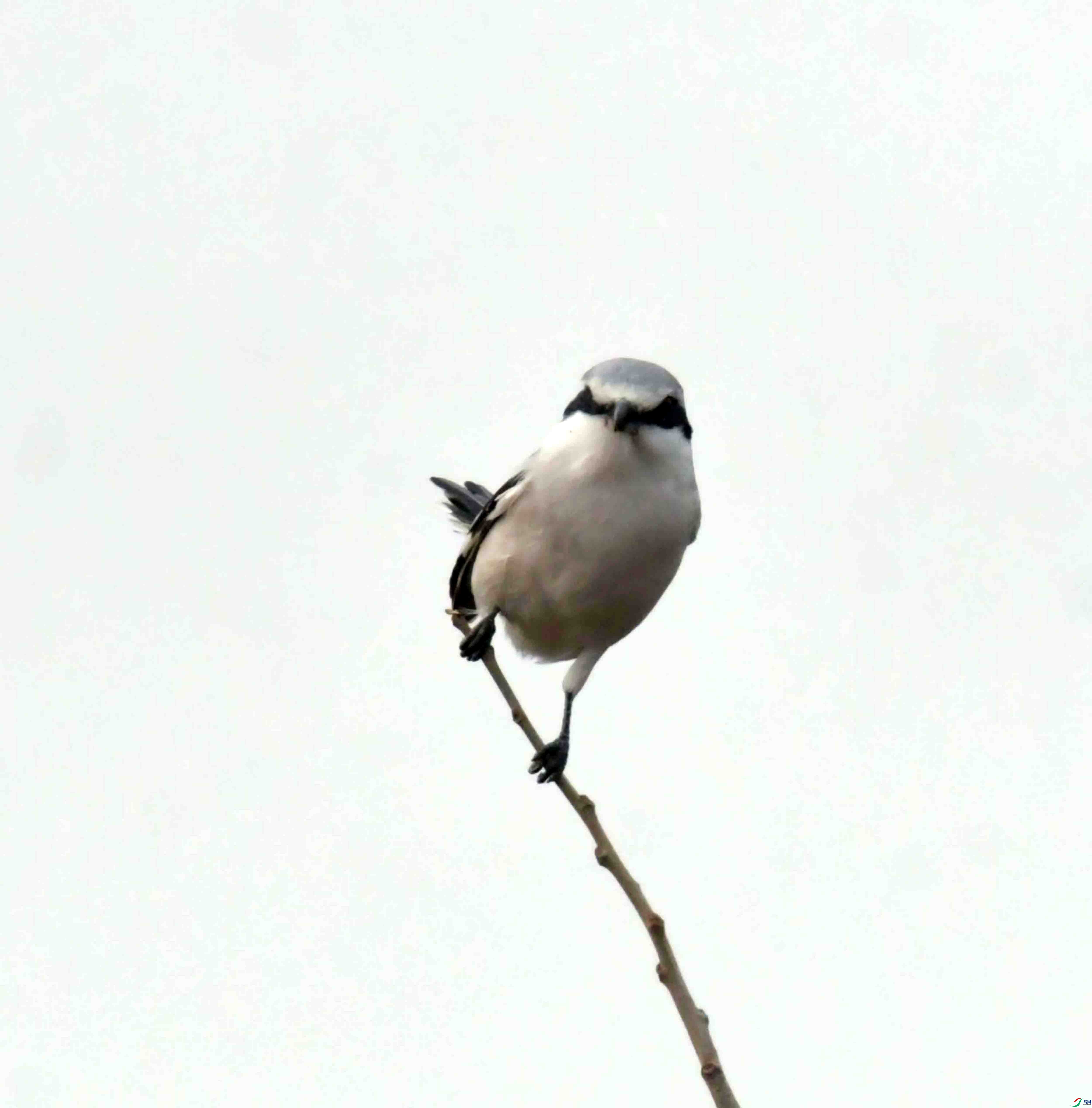 DSC_4274.JPG