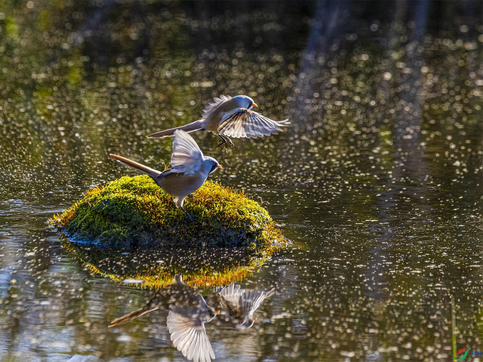 1K3A2627 ����1.jpg