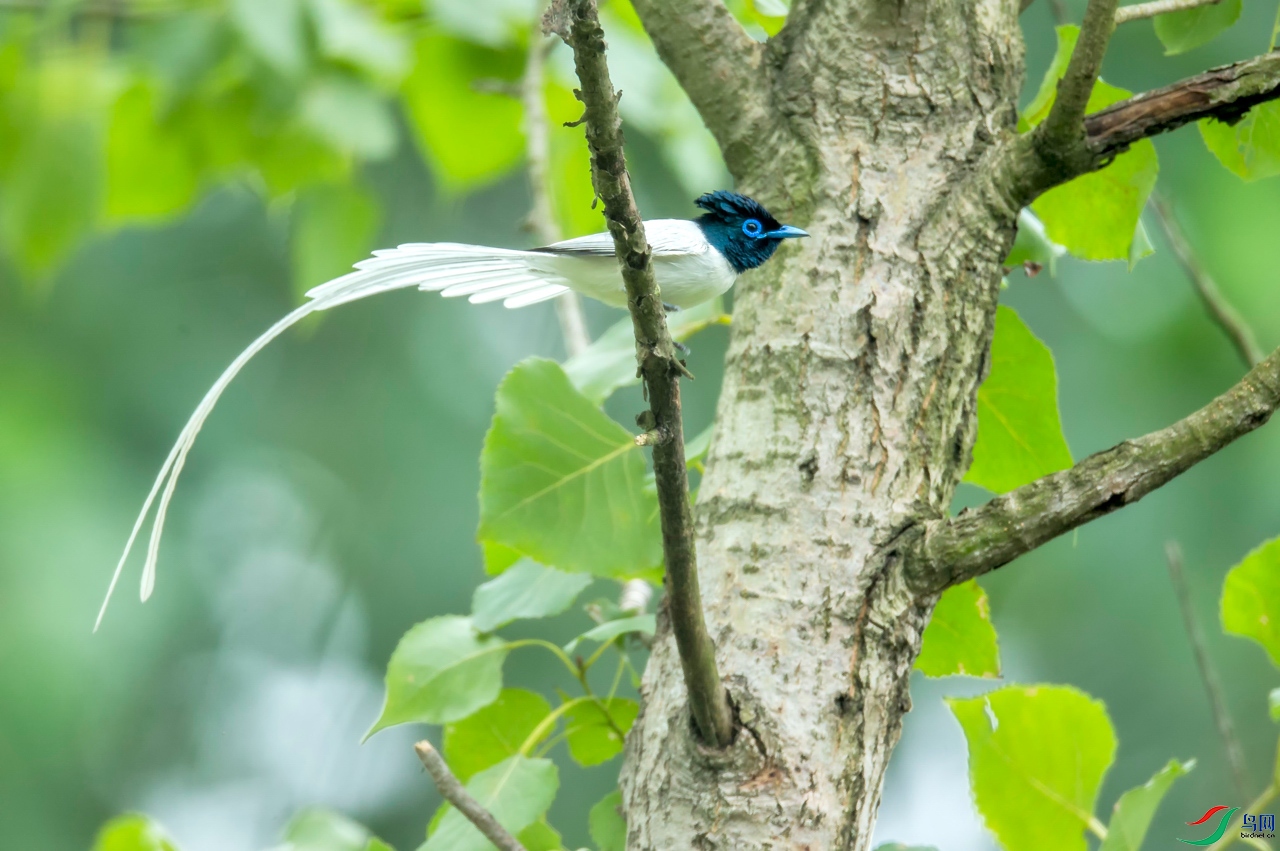 _TAO9244.jpg