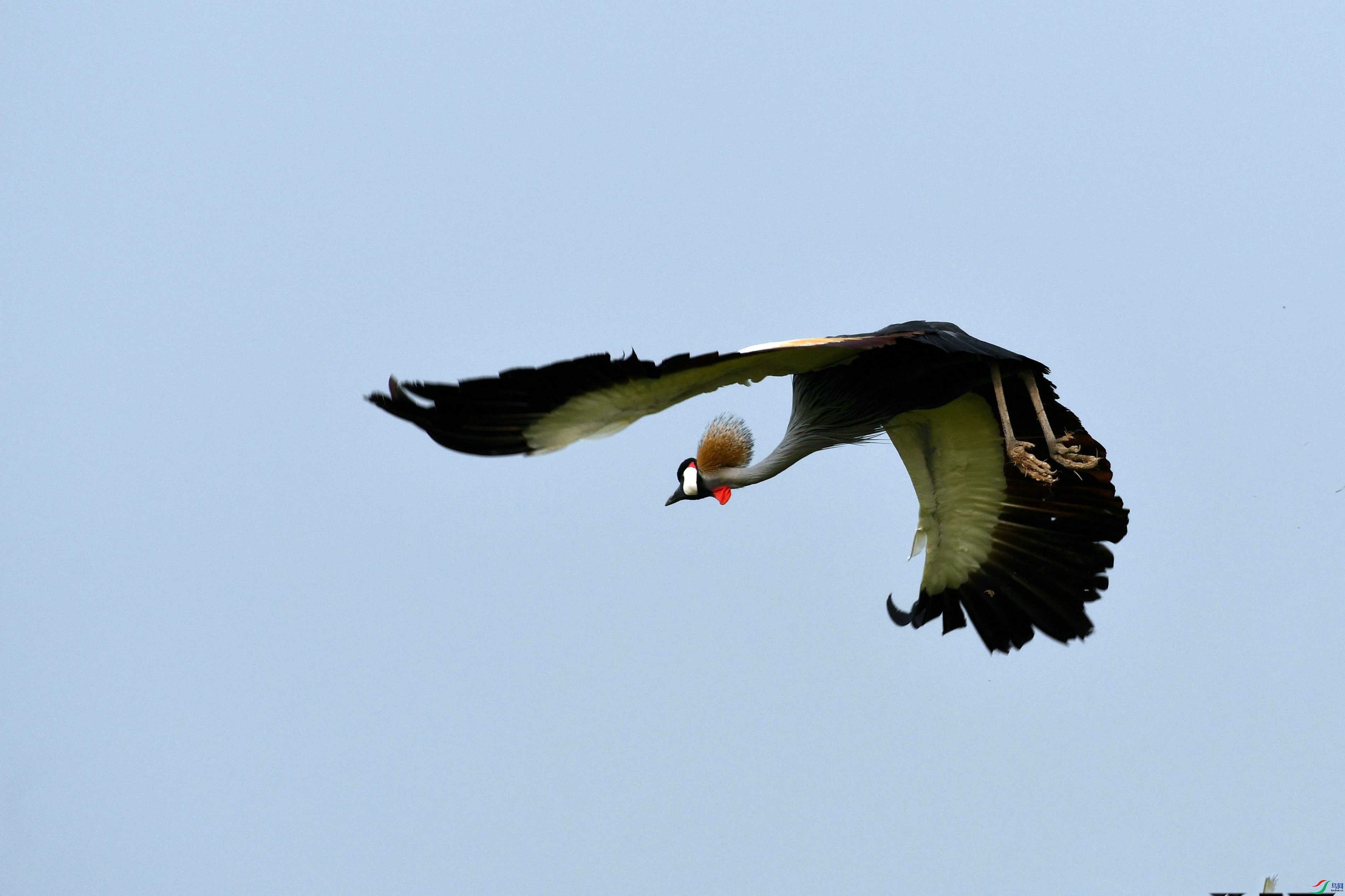 DSC_8050.JPG