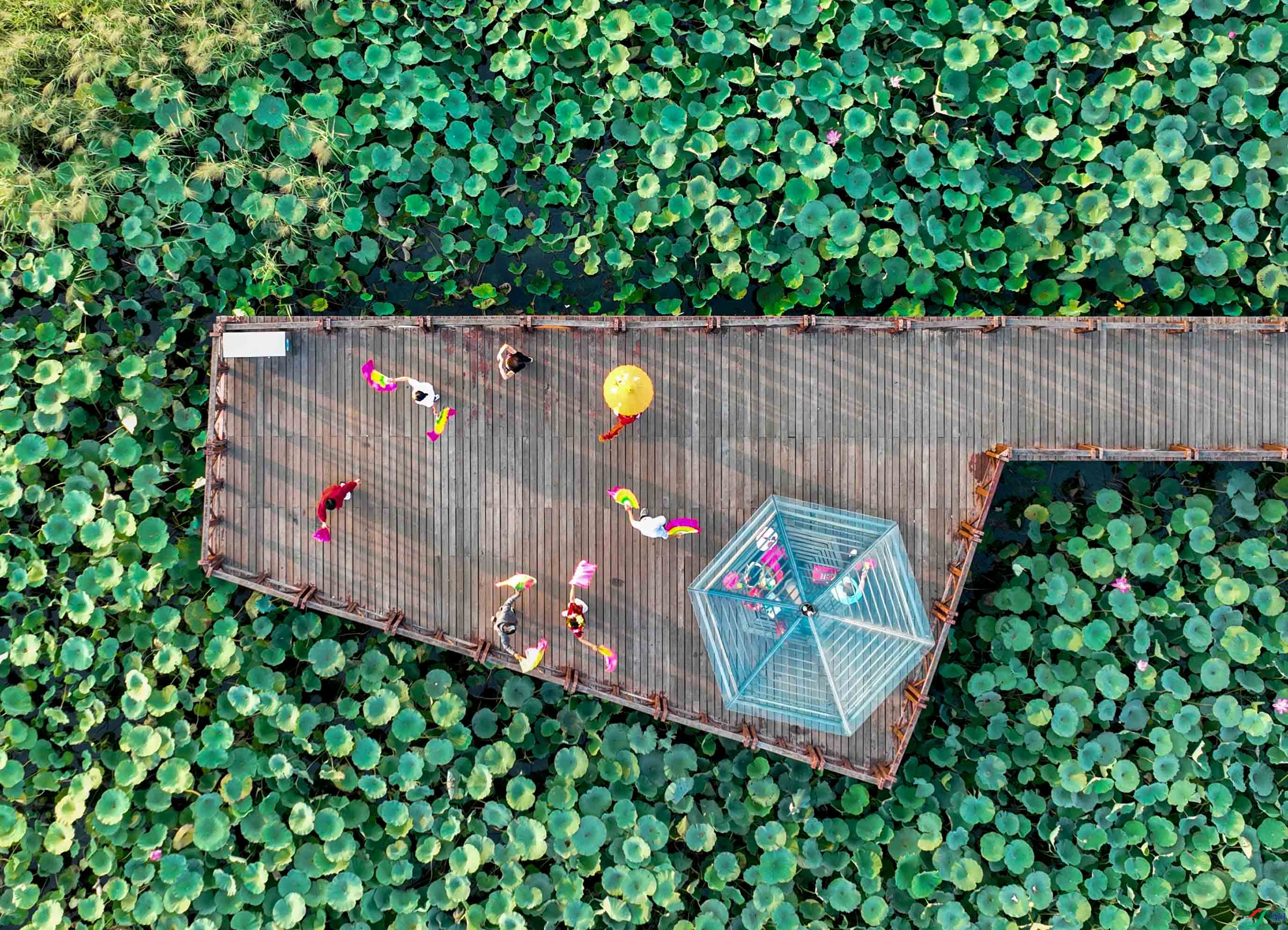 DJI_0951.JPG