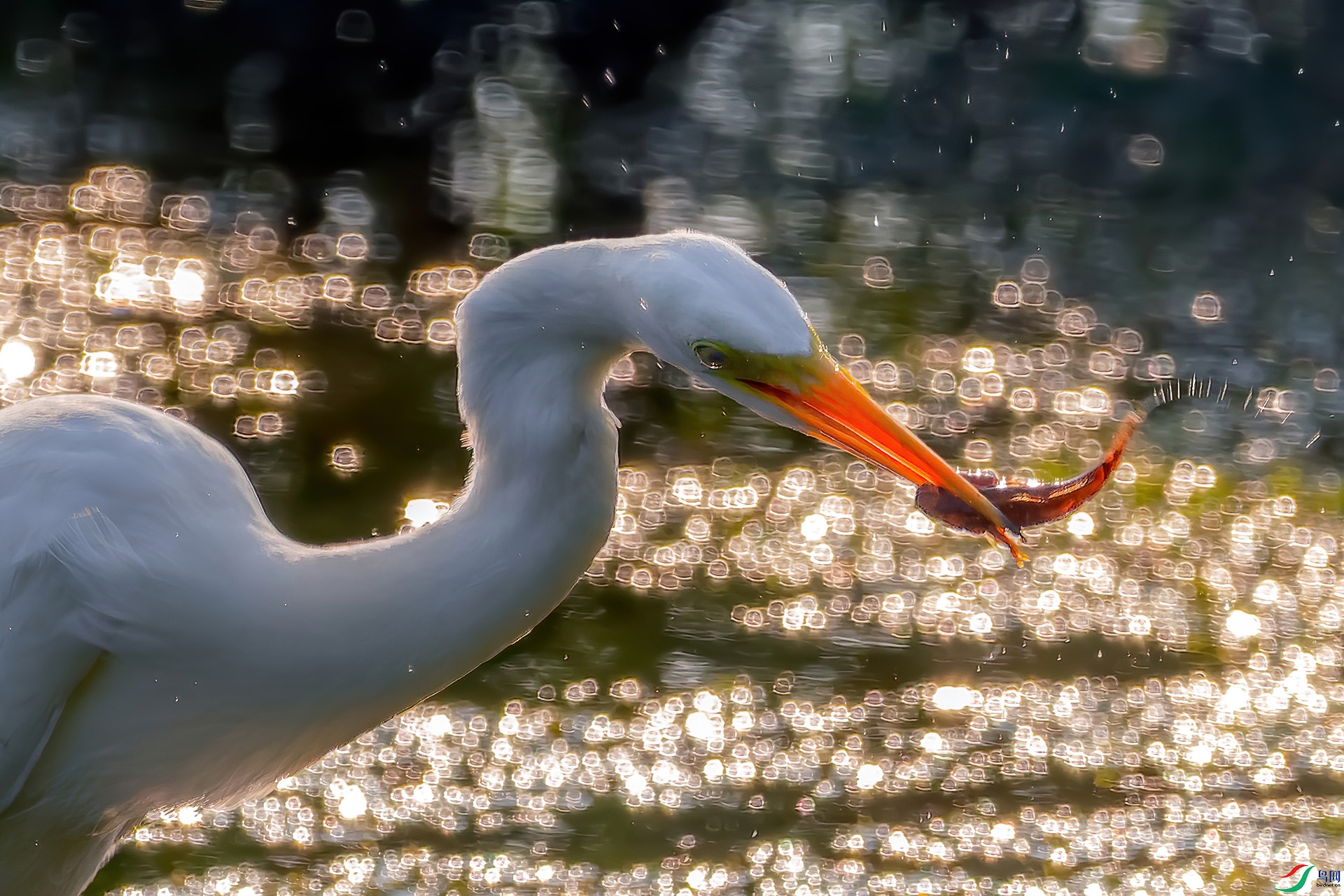 _MG_3544.jpg