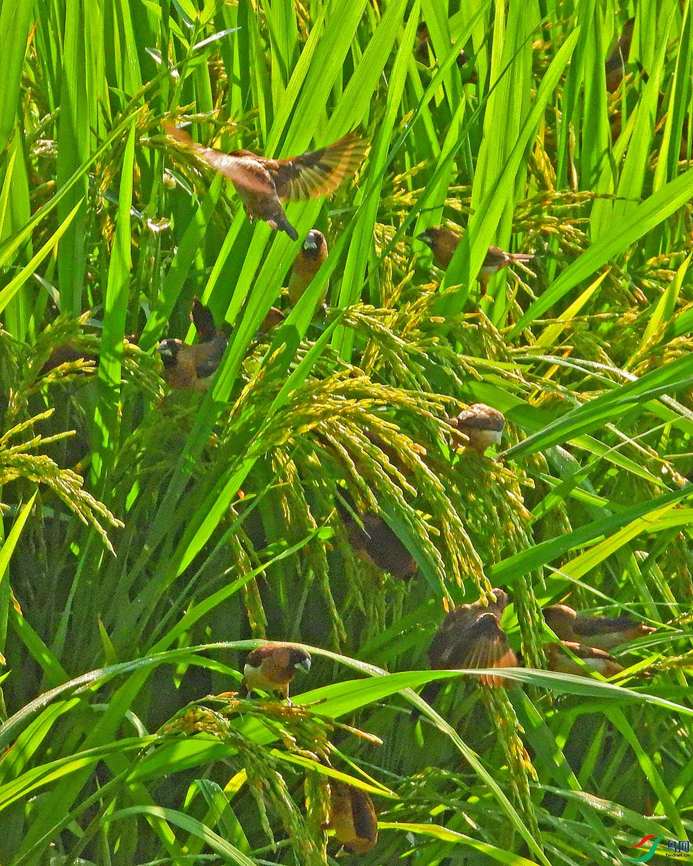 DSCN9918.jpg